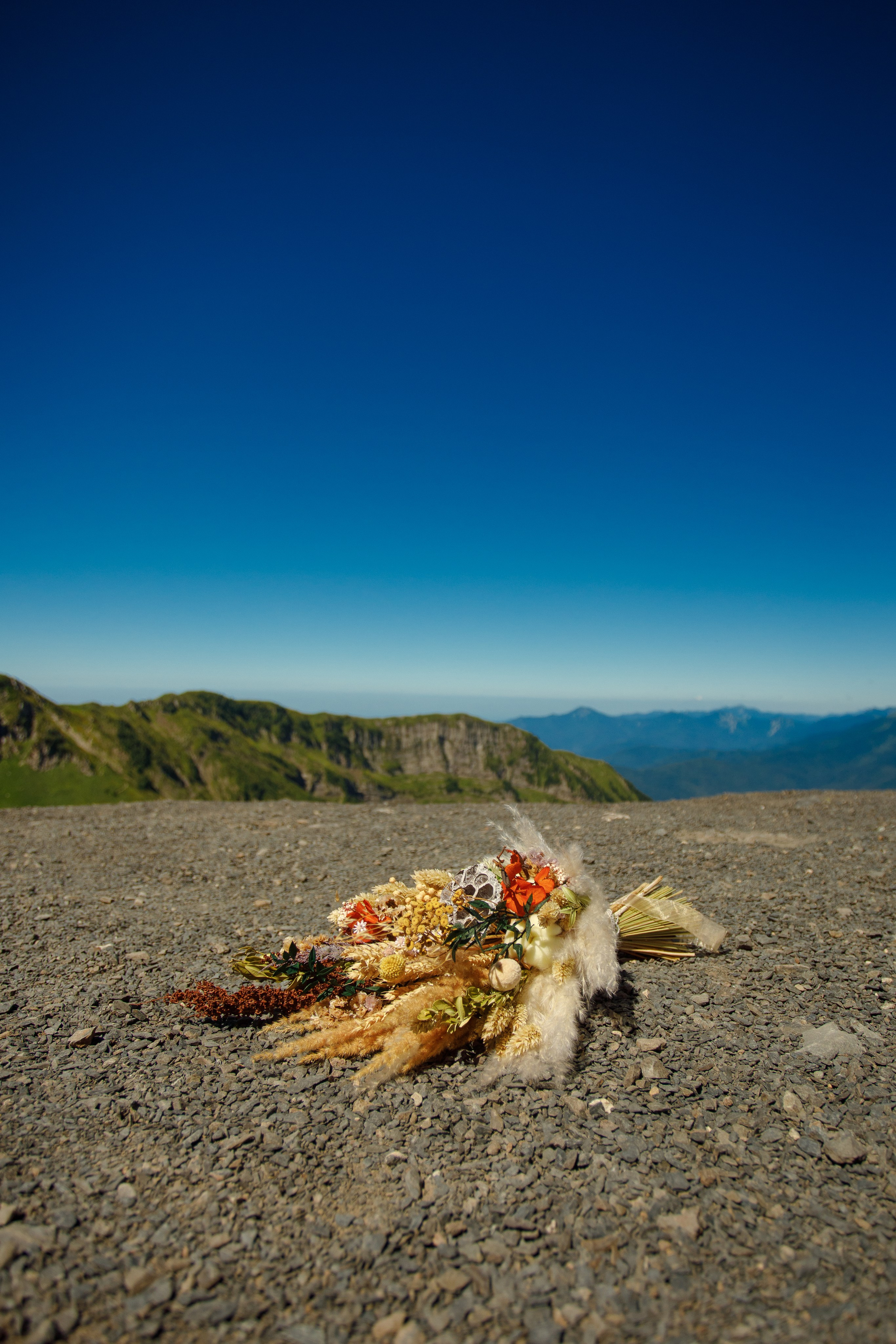 Сочи Белла и Миша. Марковкина КрисТина