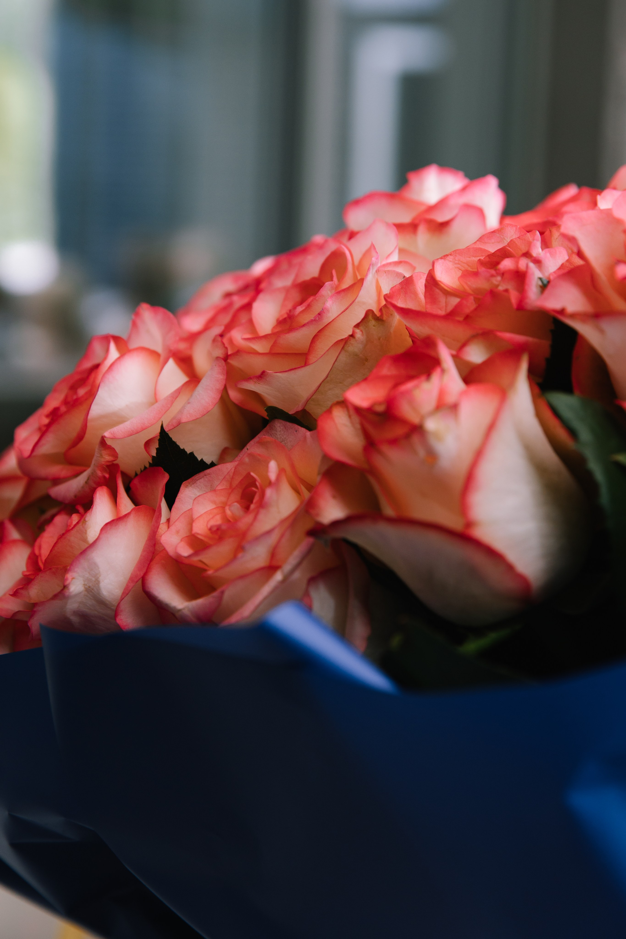 Anastasia & Ilya. Фотограф в Минске — Юлия Деяк. Фотосессии в Минске