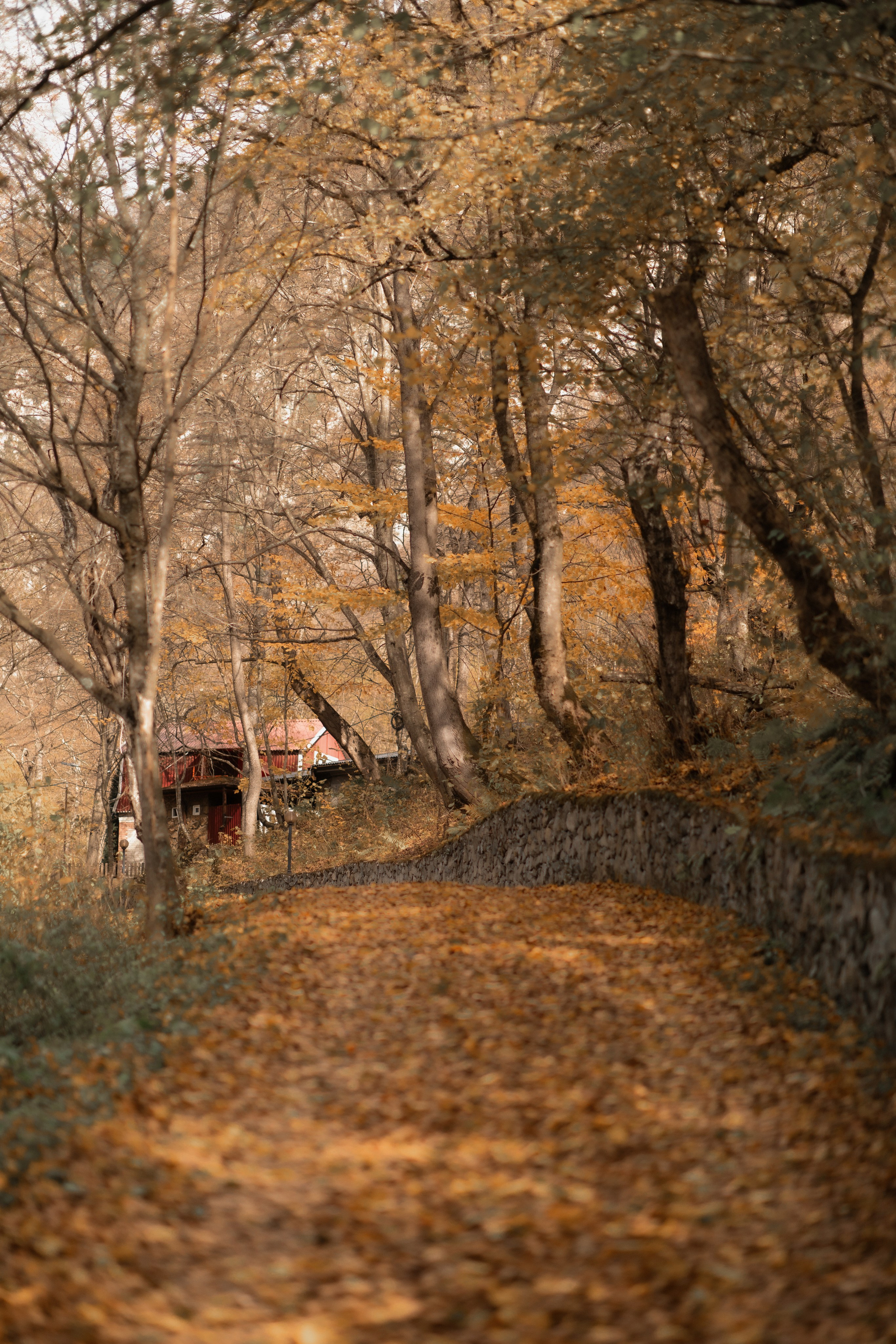 Индивидуальная фотосессия в Фиагдоне. Фотограф во Владикавказе Юрий Геворгизов