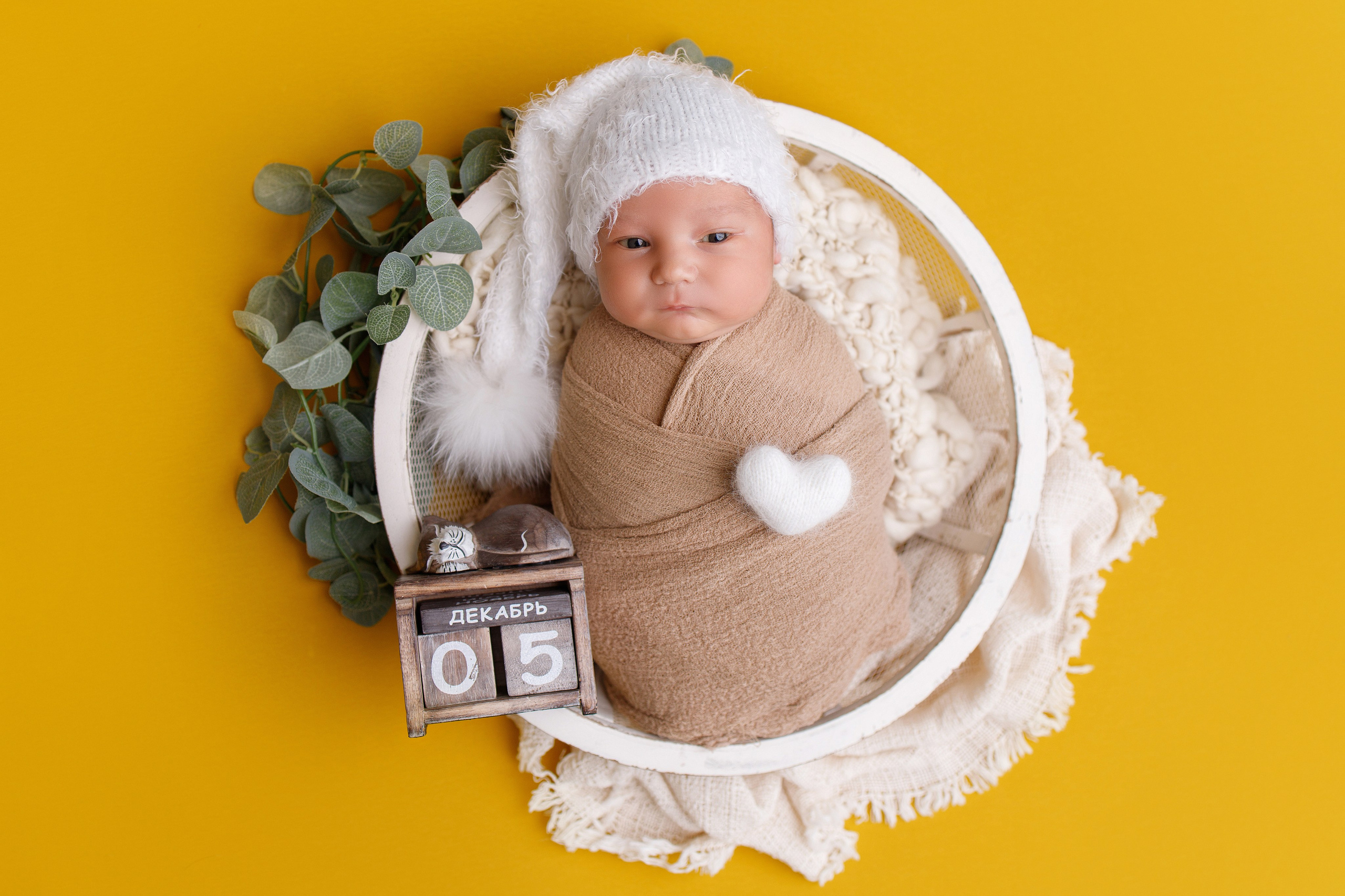 Новорождённые. Фотограф новорождённых в Москве и МО