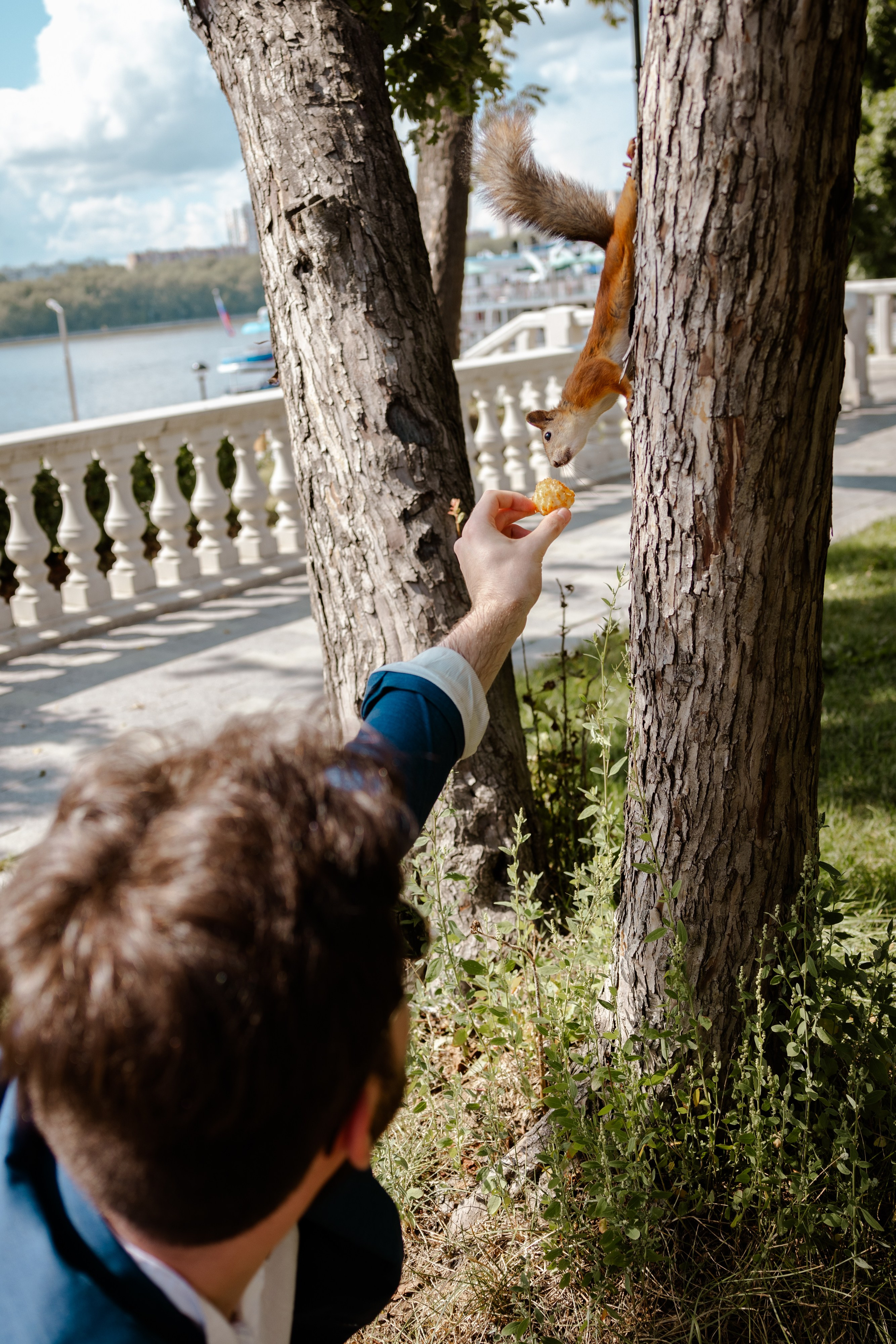 Свадьба Ксении и Думитру. Виктория Зудина — фотограф в Москве