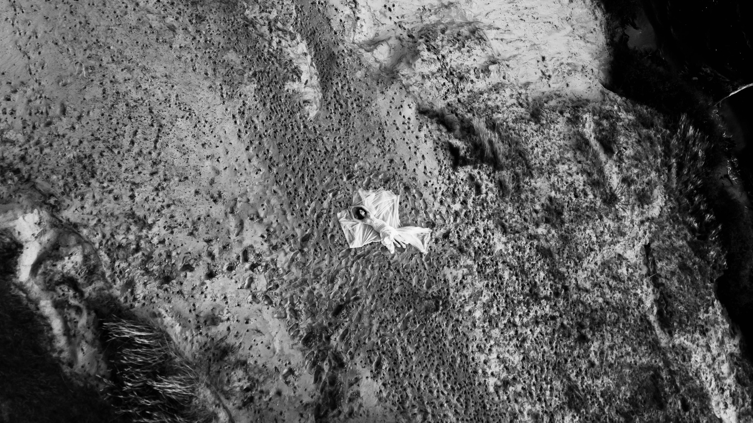 Свадебные фотографии. Свадебный фотограф Казань Чебоксары Москва