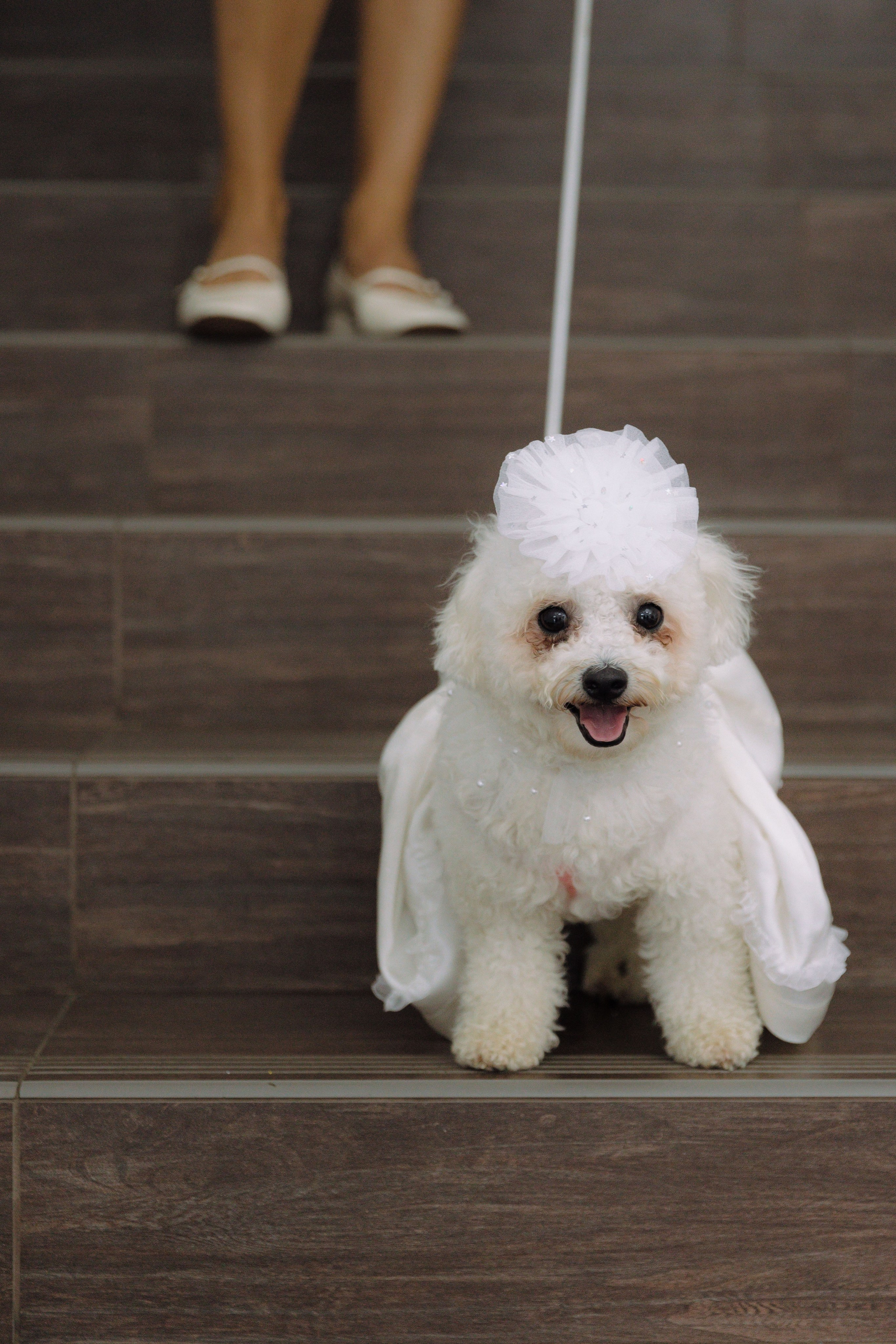 Artem & Anastasia. Главная