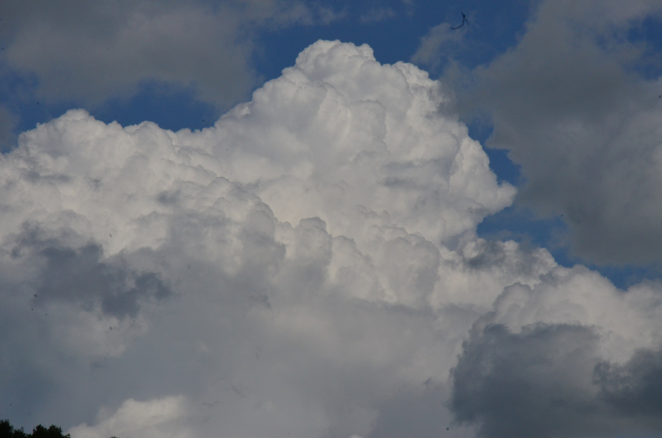 Дары природы. Фотограф viktor viktor