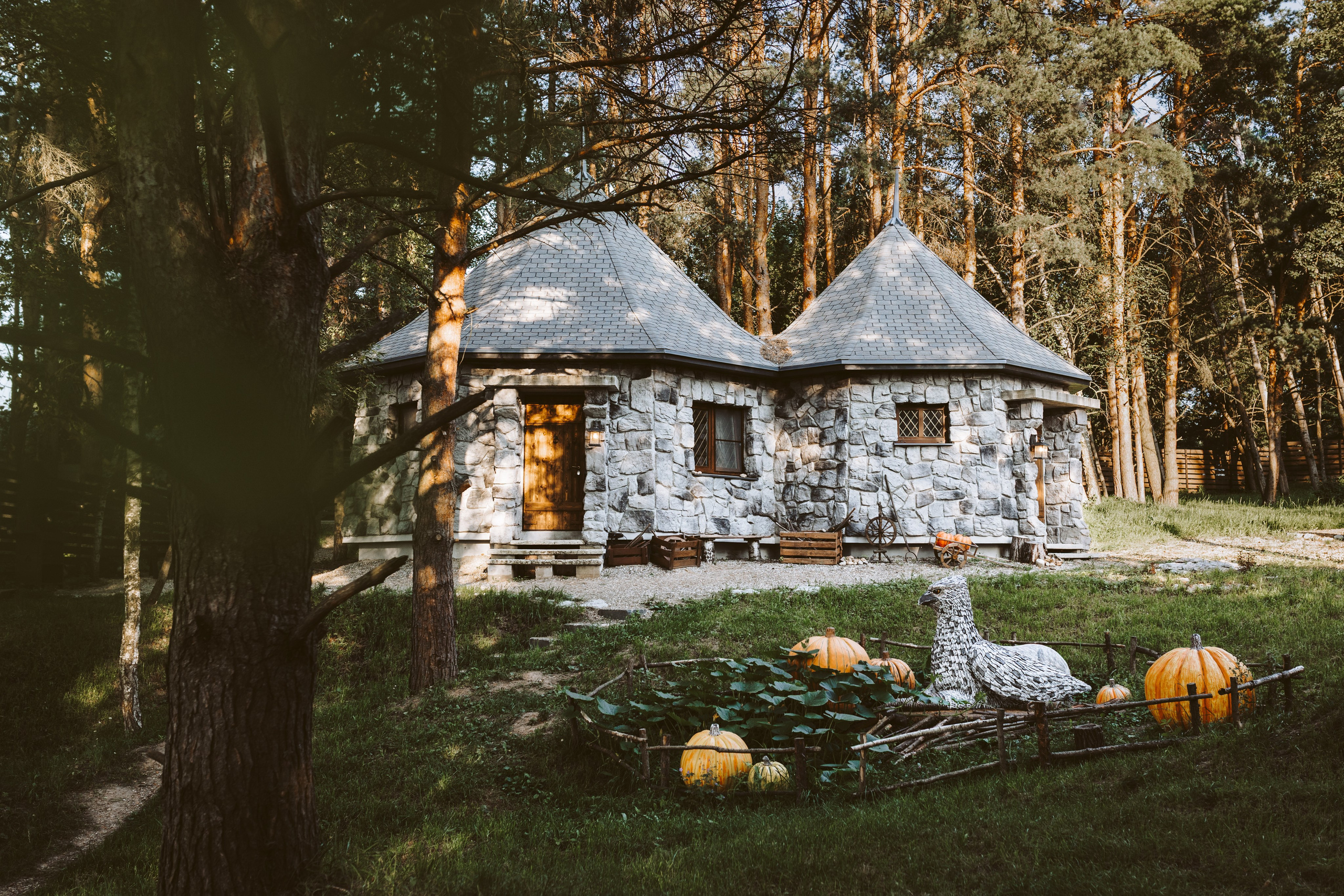 Хижина Хагрида. Свадебный фотограф Курзина Ольга | Москва