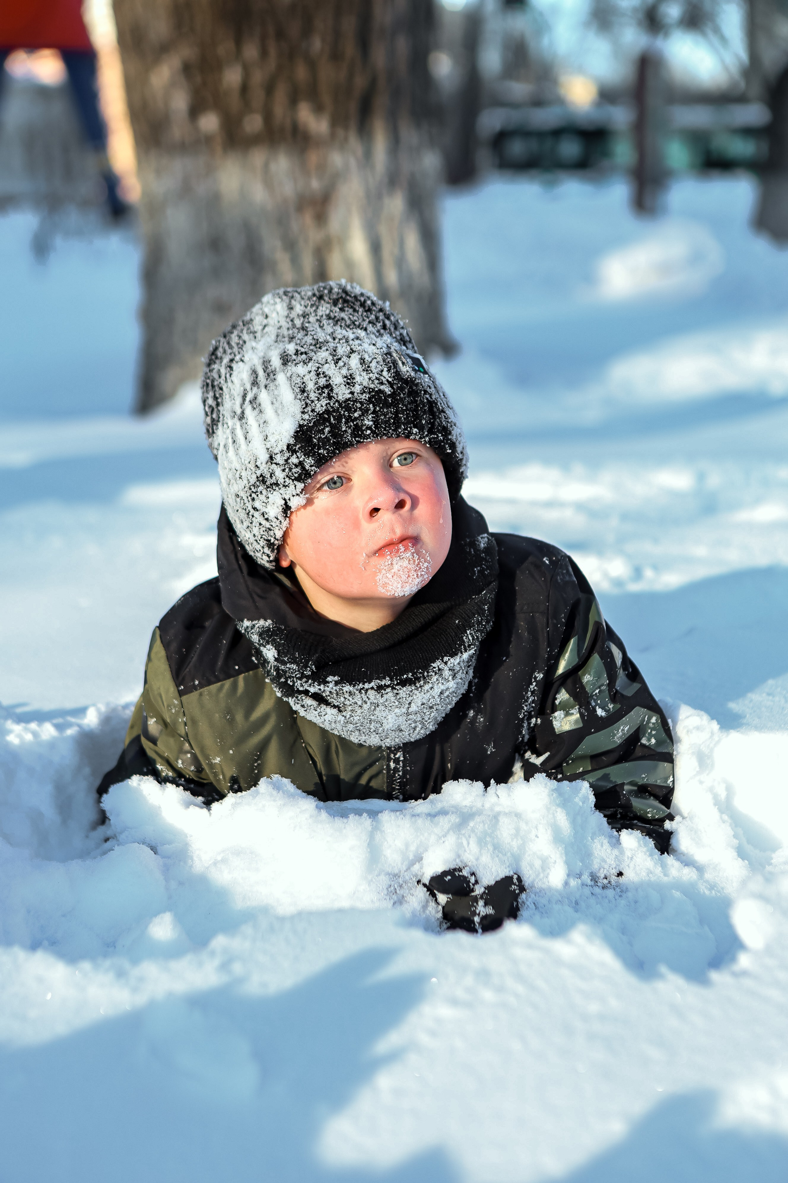 Ноябрь–декабрь 2024 (прогулка в снегу). Фотограф Евгения Лондкевич