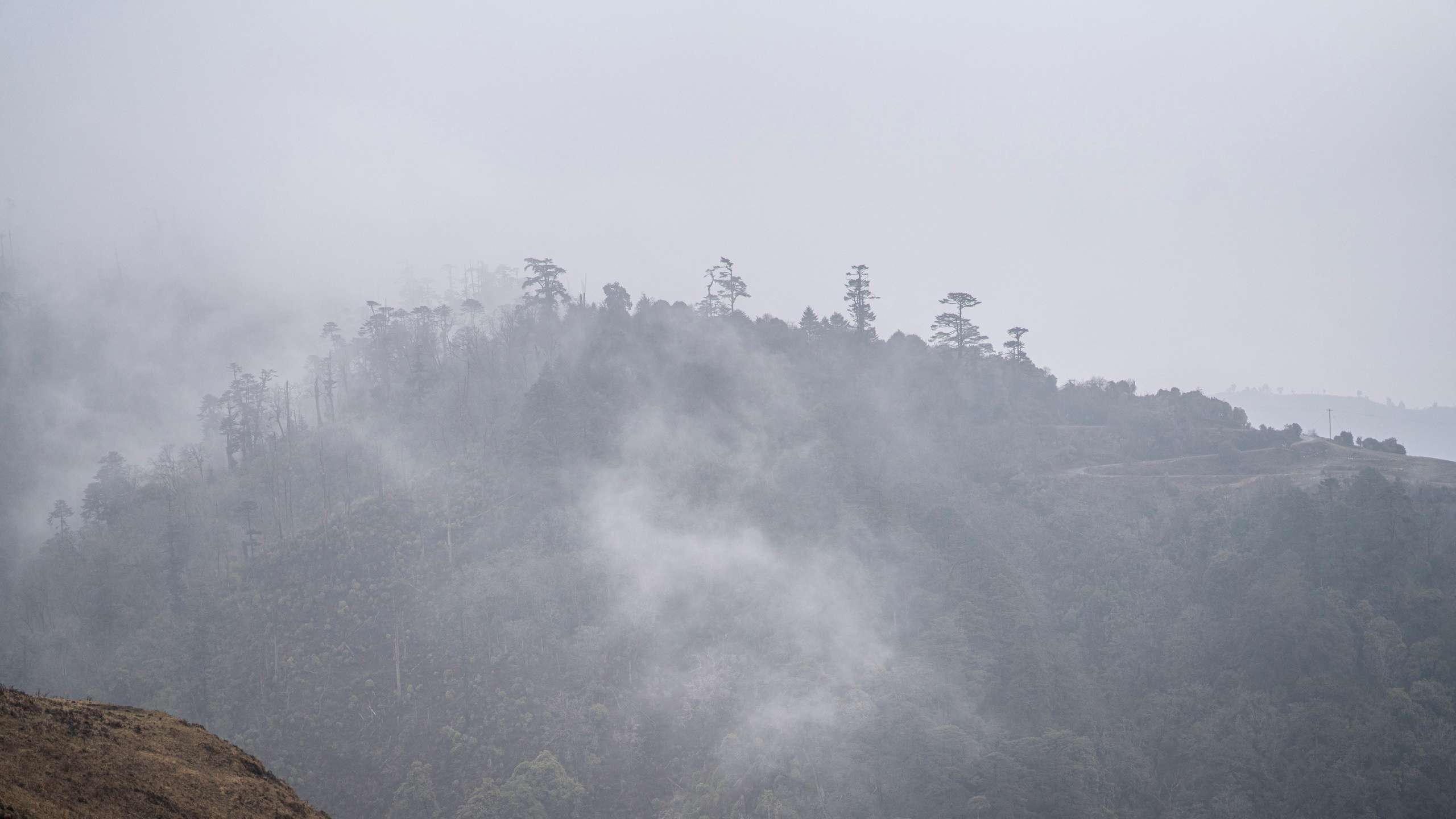 India travel. Фотограф Сергей Танков
