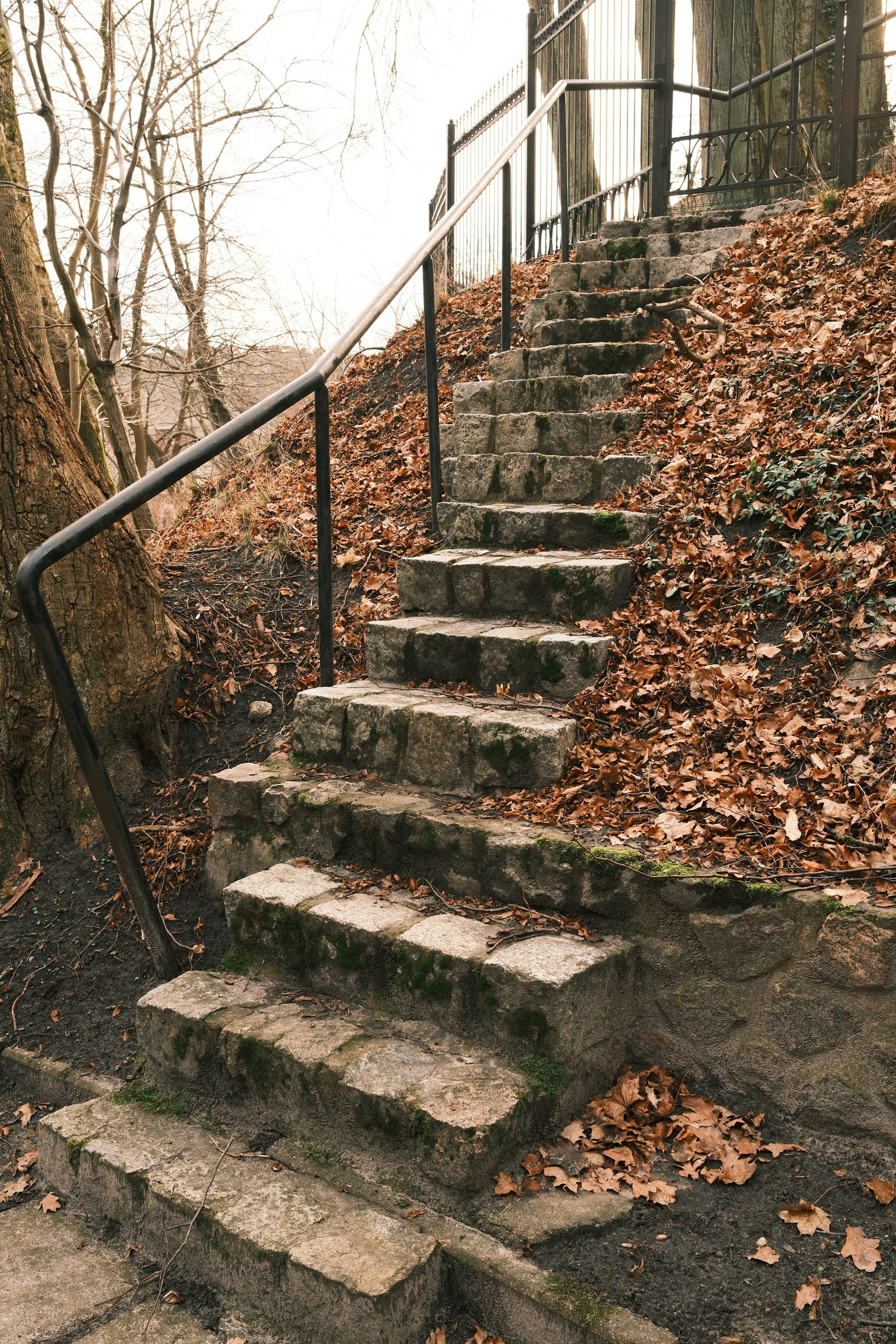 Зимний Светлогорск. Алексей Торопов фотограф