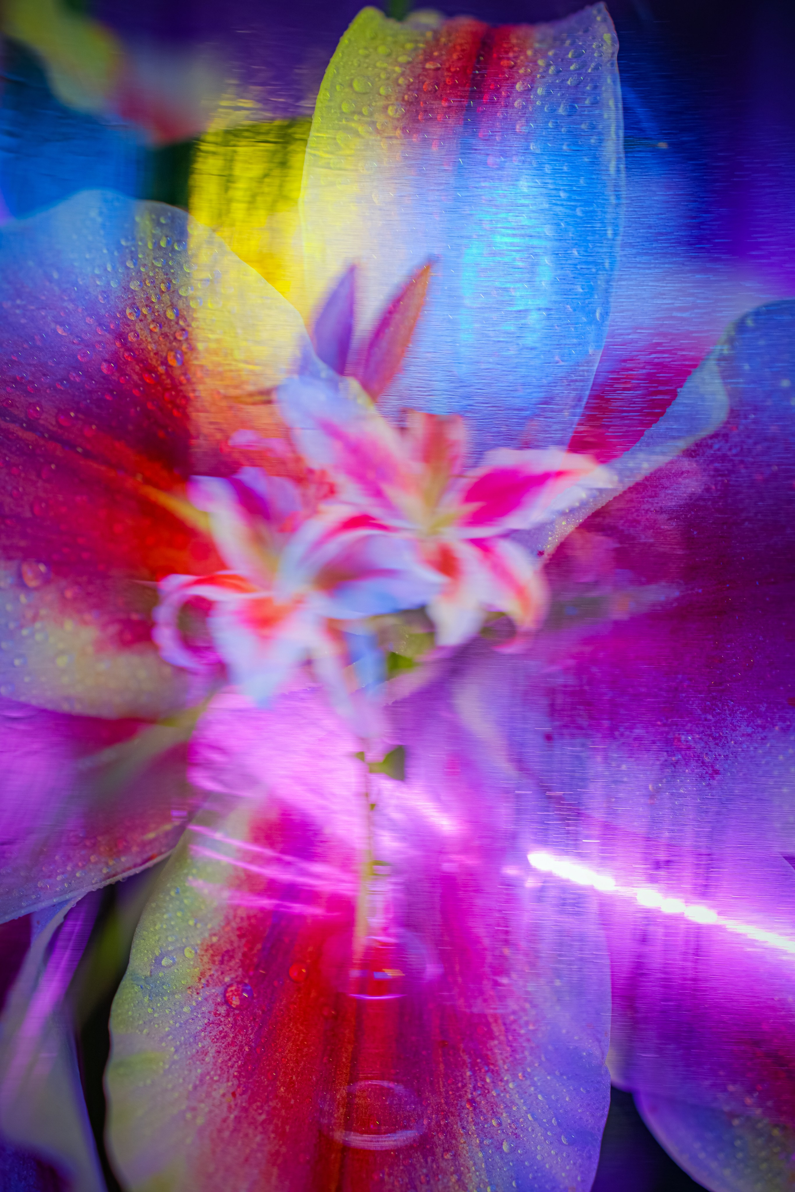 Природа &. Фотохудожник в СПб