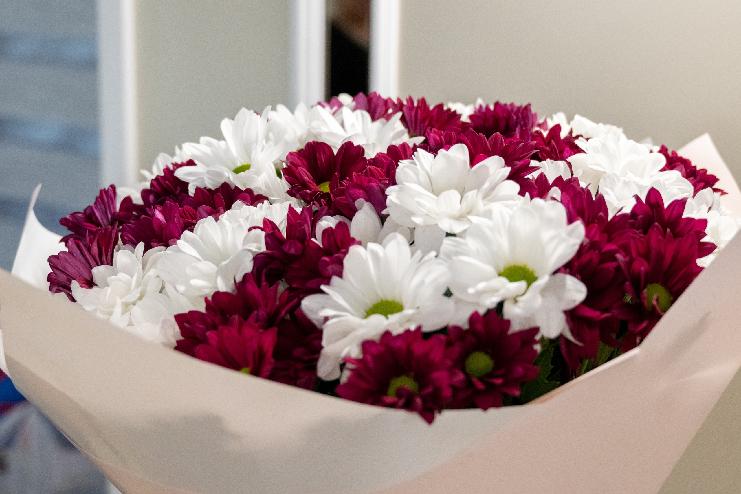 Семейная встреча. Фотограф и видеограф в Москве Анна Матюхина