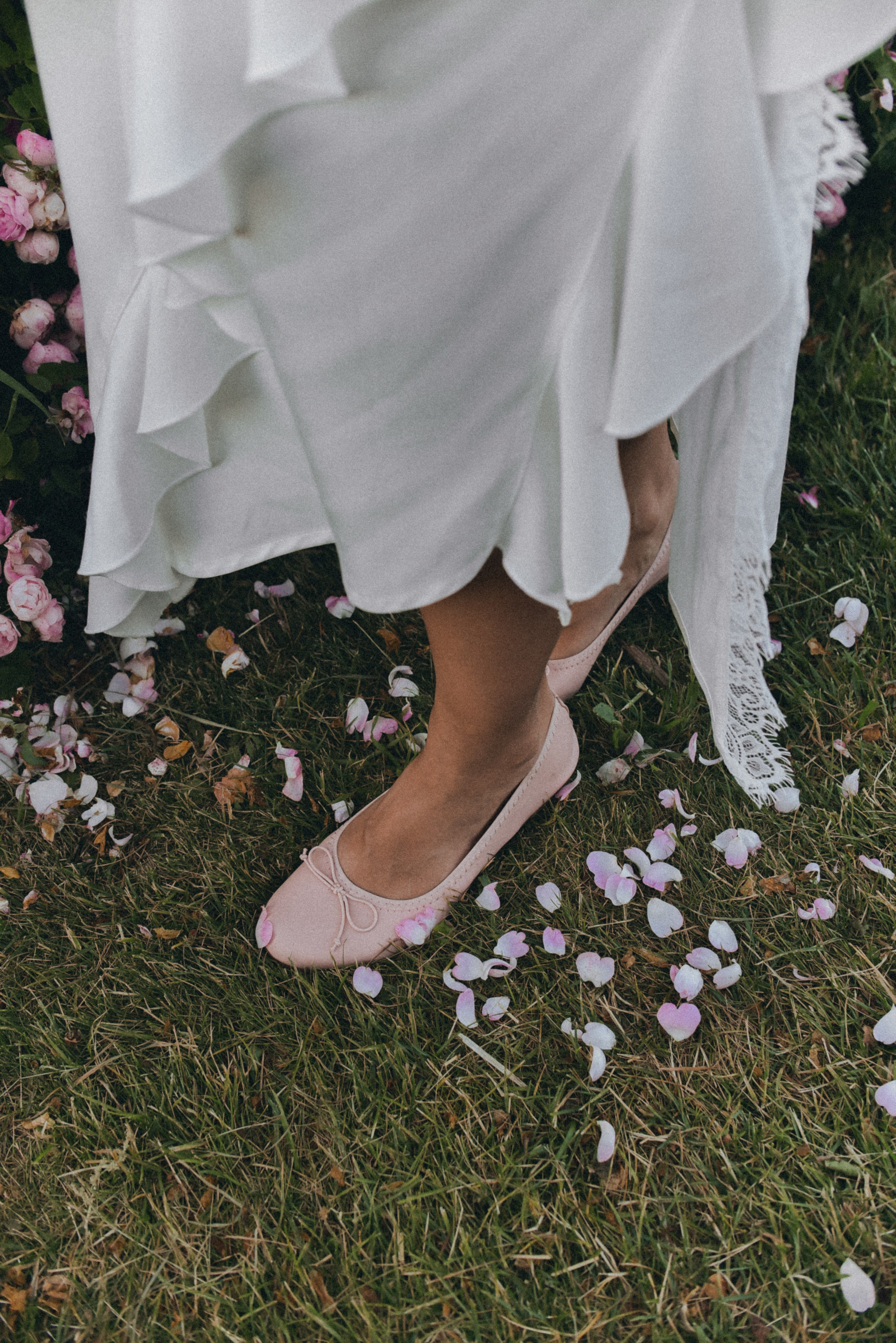 Розовая роща. Семейный фотограф Milena feel it