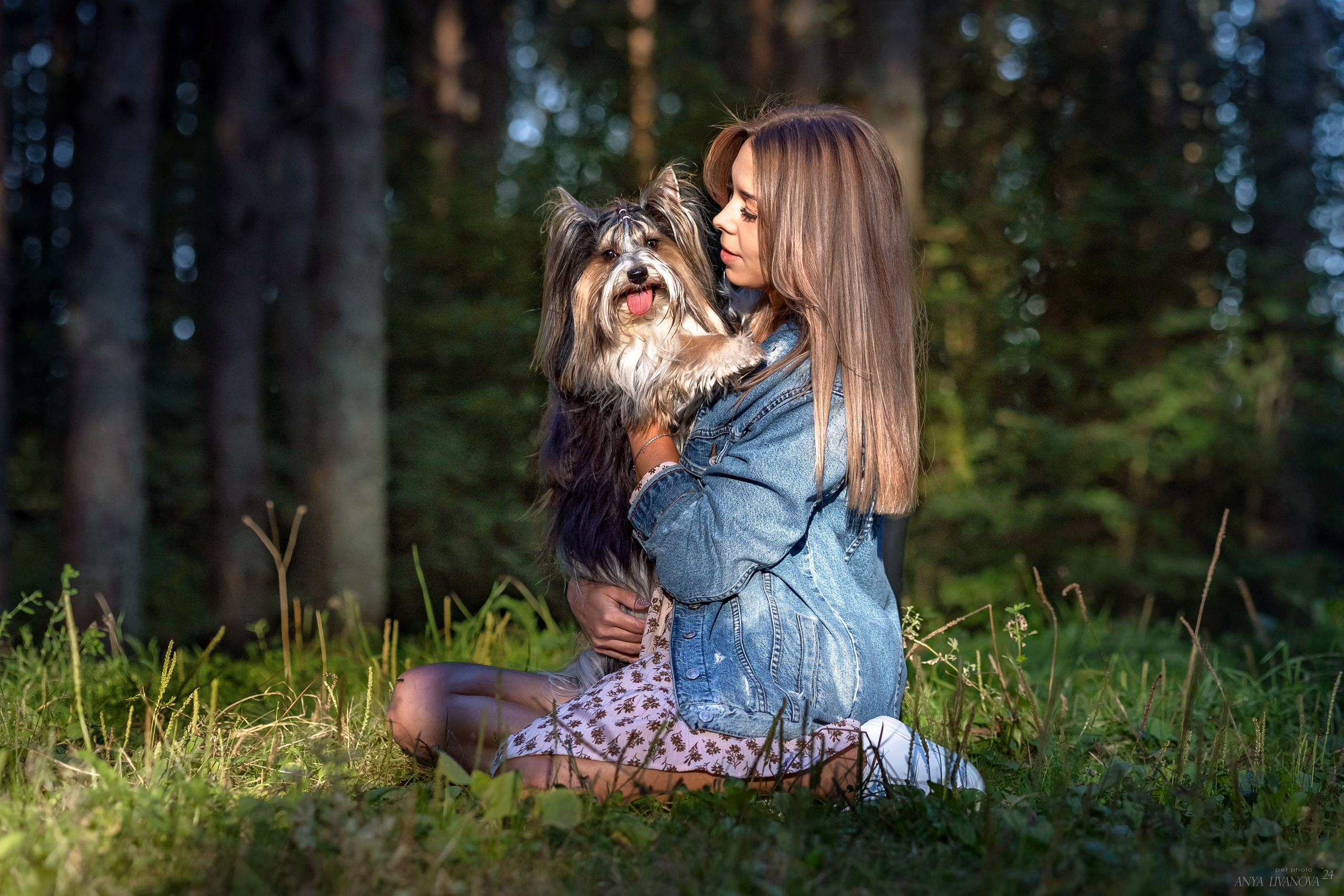 Катя и йорки. Фотограф анималист Аня Ливанова | Рыбинск