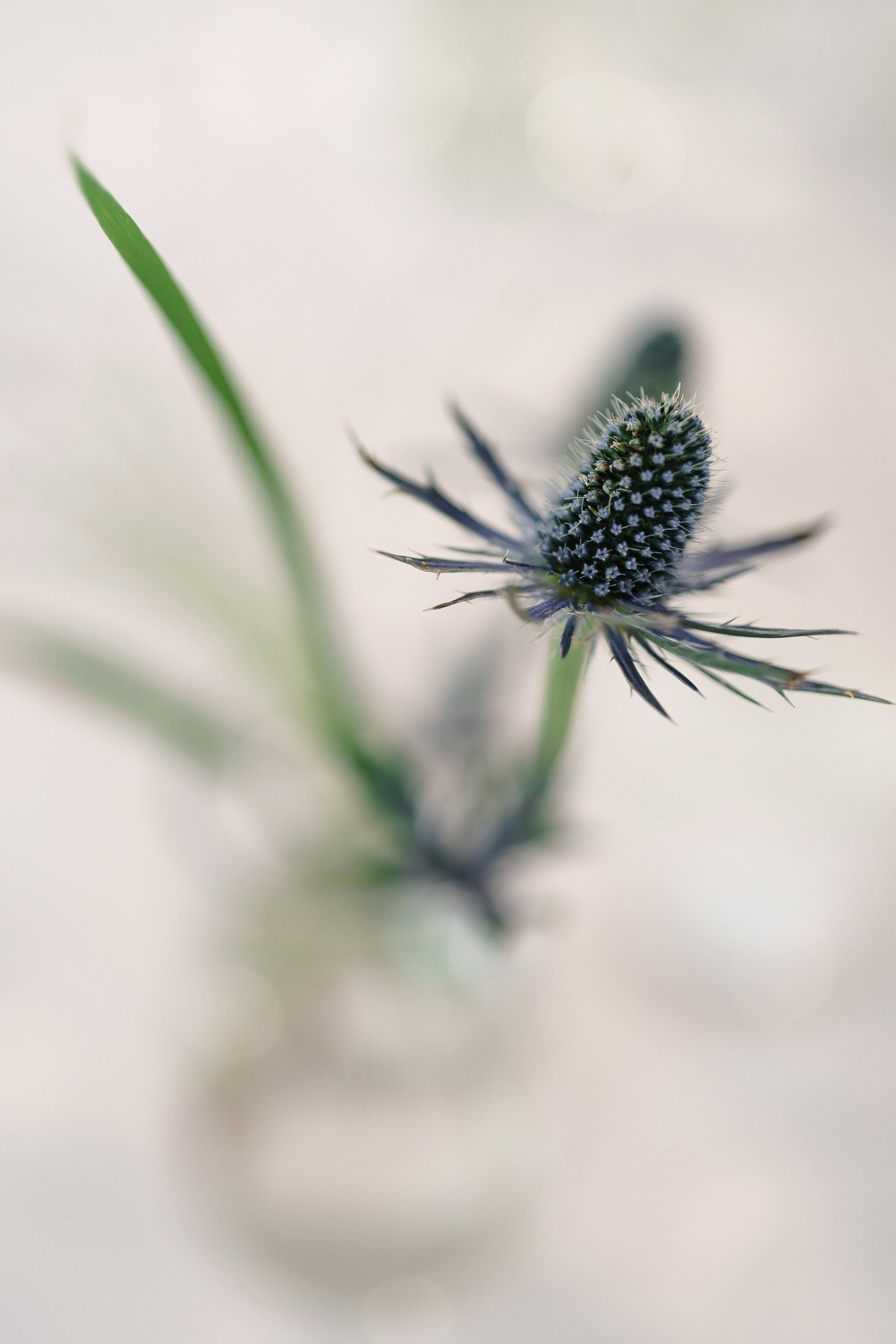М+Д. Андрей Сухинин репортажный свадебный фотограф Санкт-Петербург
