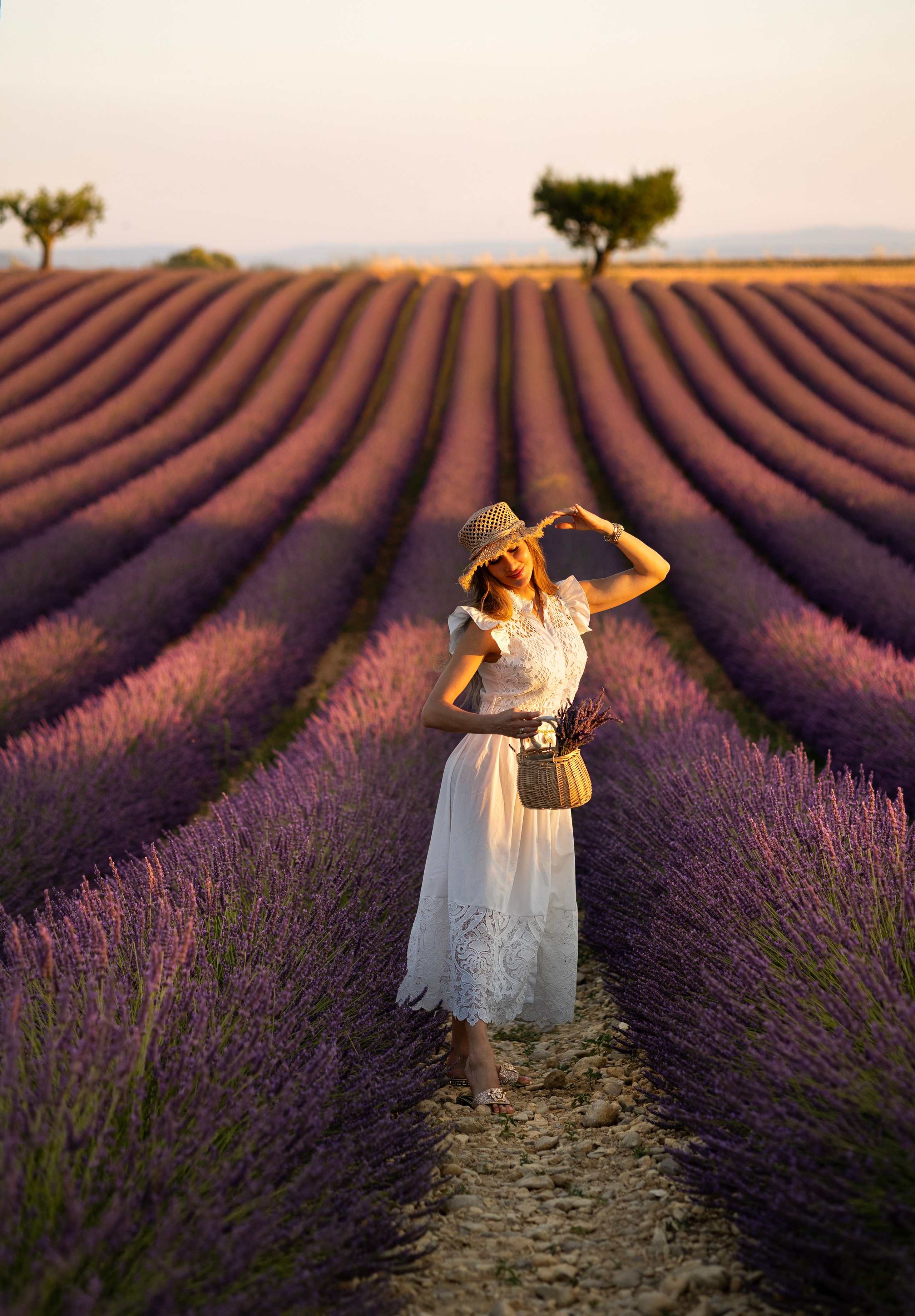 Provence. Photographer in Munich
