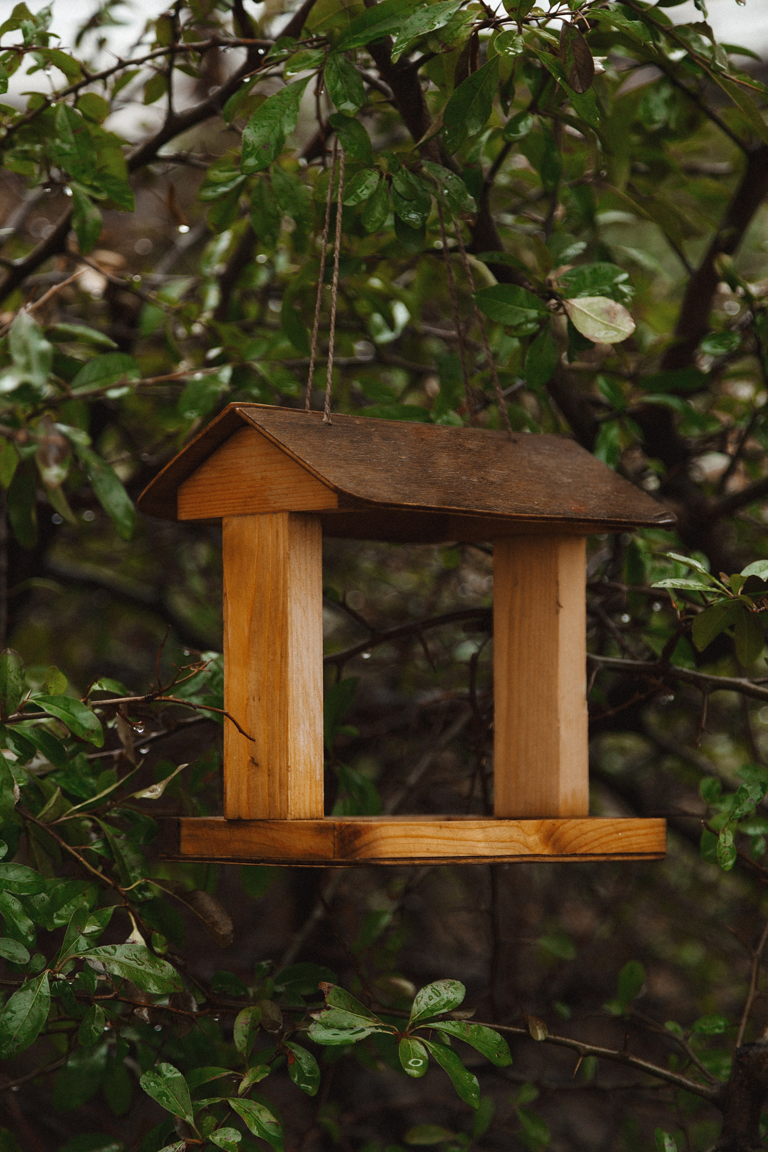 Проект «366»|2024|Фото каждый день. LENA GRACE photographer ||ЛЕНА ГРЭЙС фотограф