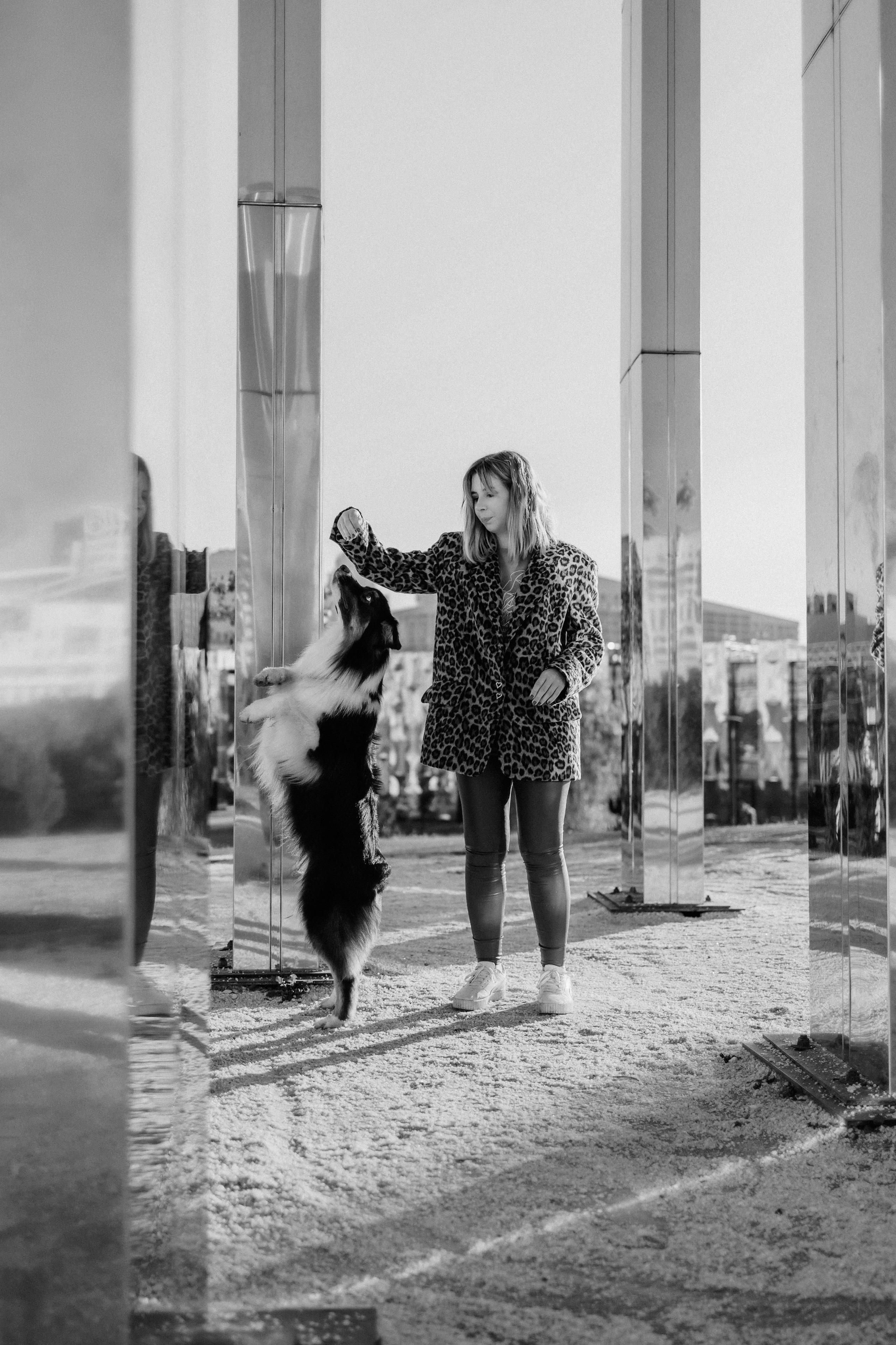 Аня, Чарли и Ева. Фотограф-анималист Елена Радченко, Москва