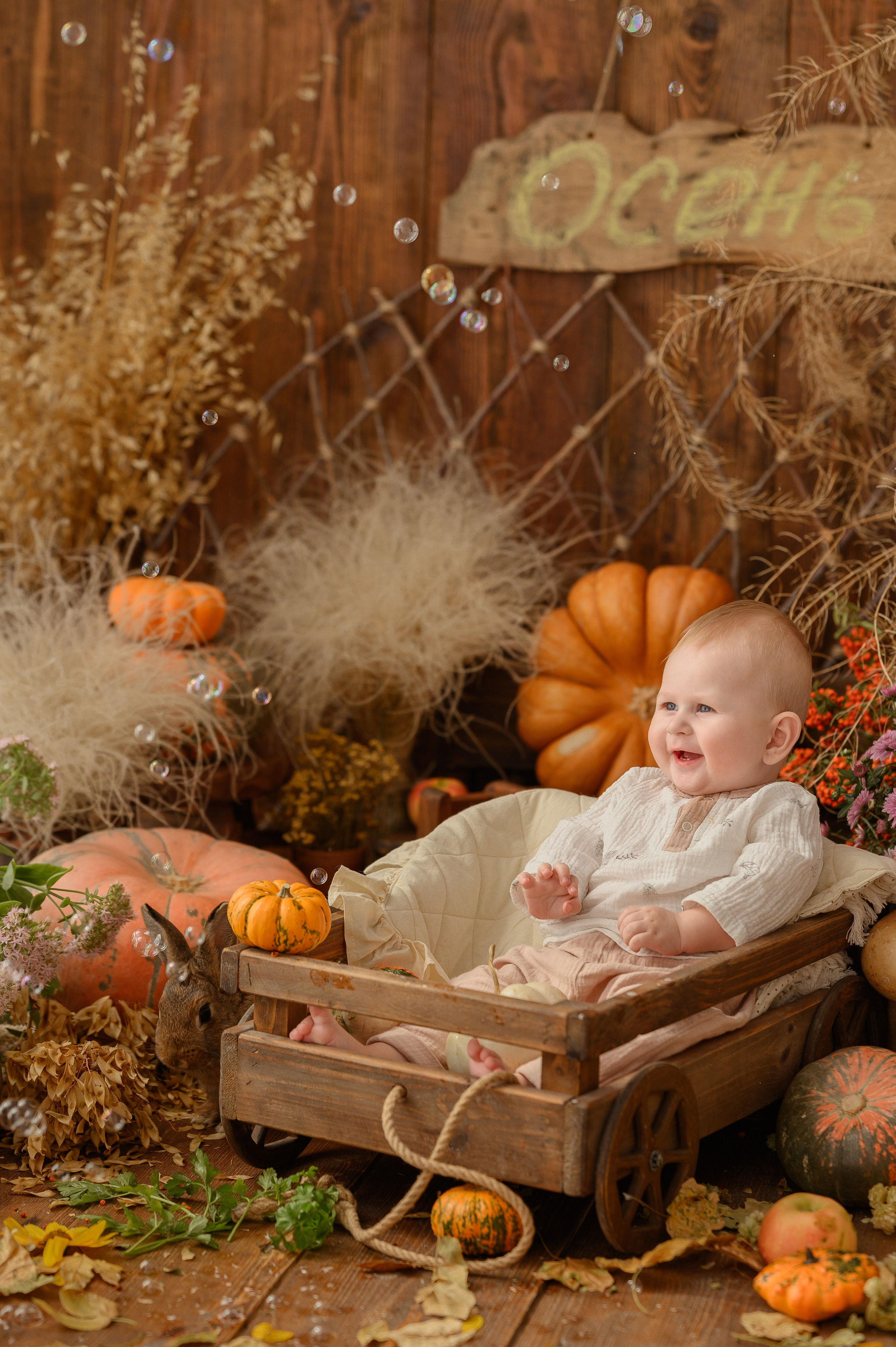 Дамирчик и кролик в тыквах. Детский и семейный фотограф Ирина Гладких