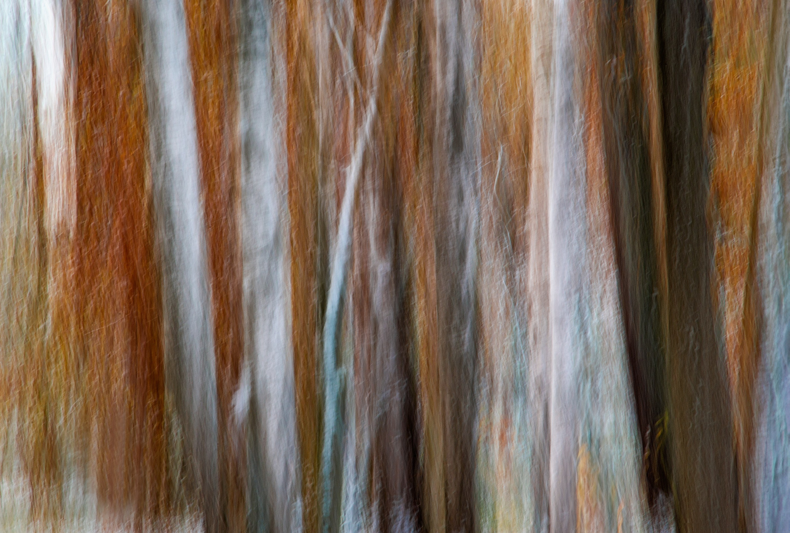 LUMEN DUO Art photography for interiors