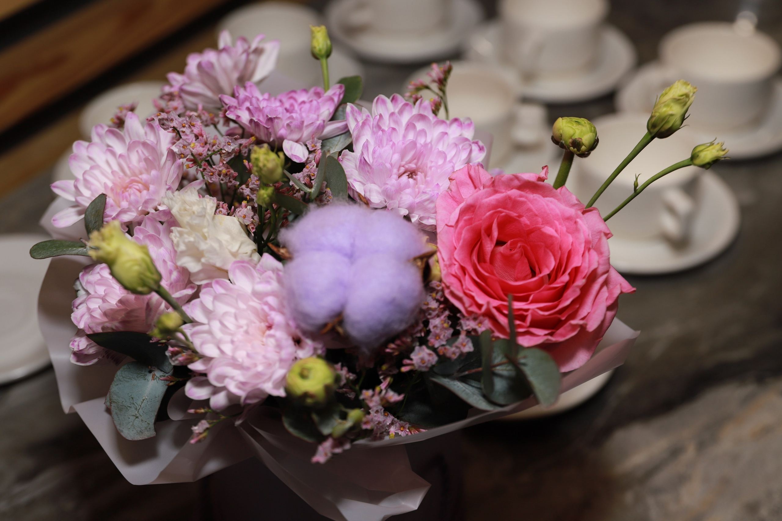 Др Дарины в Гастроинкубаторе. Фотограф Юлия Мальцева