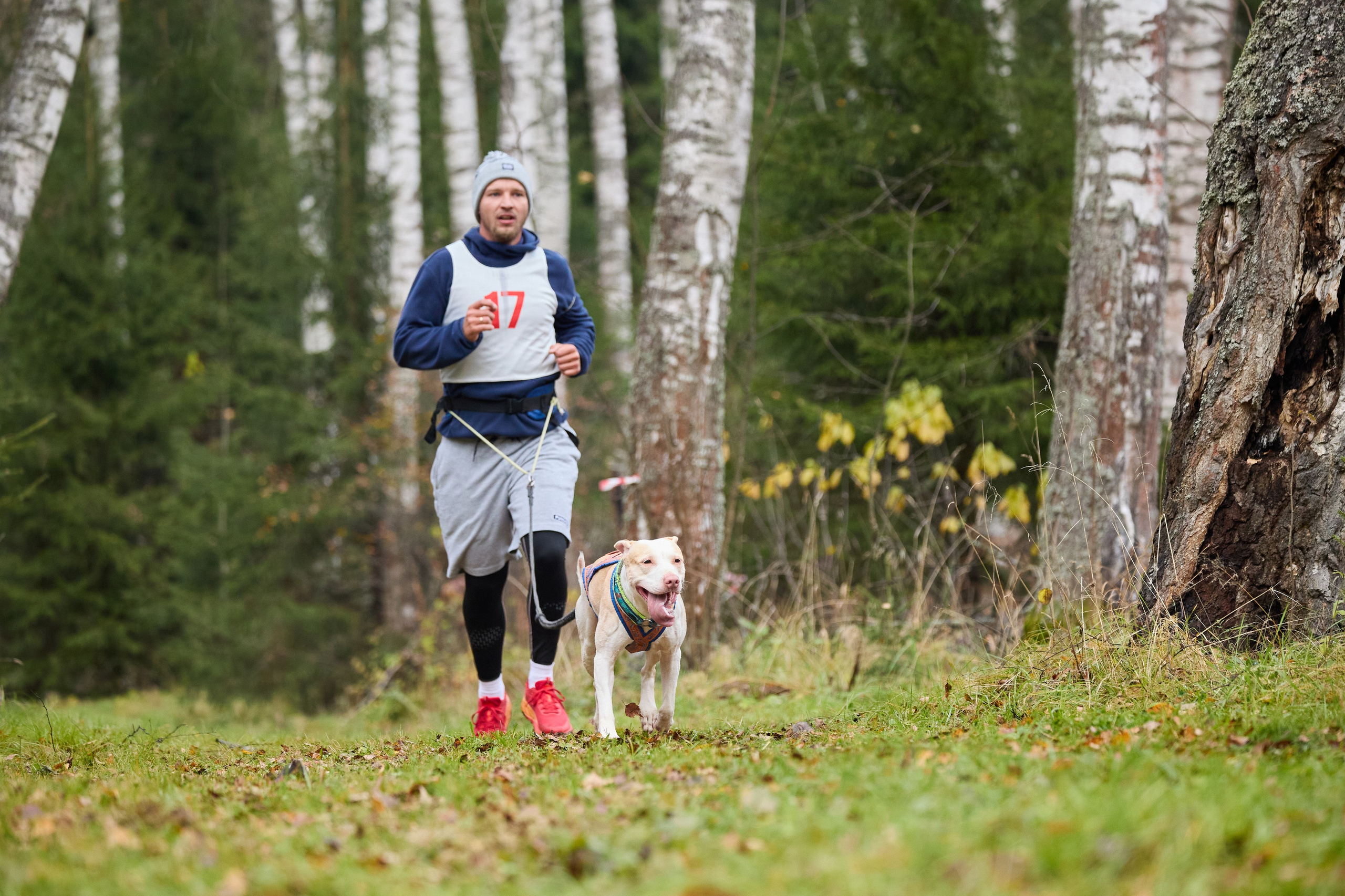 Чемпионат по ЕС Ярославской области. Фотограф Ирина Астор