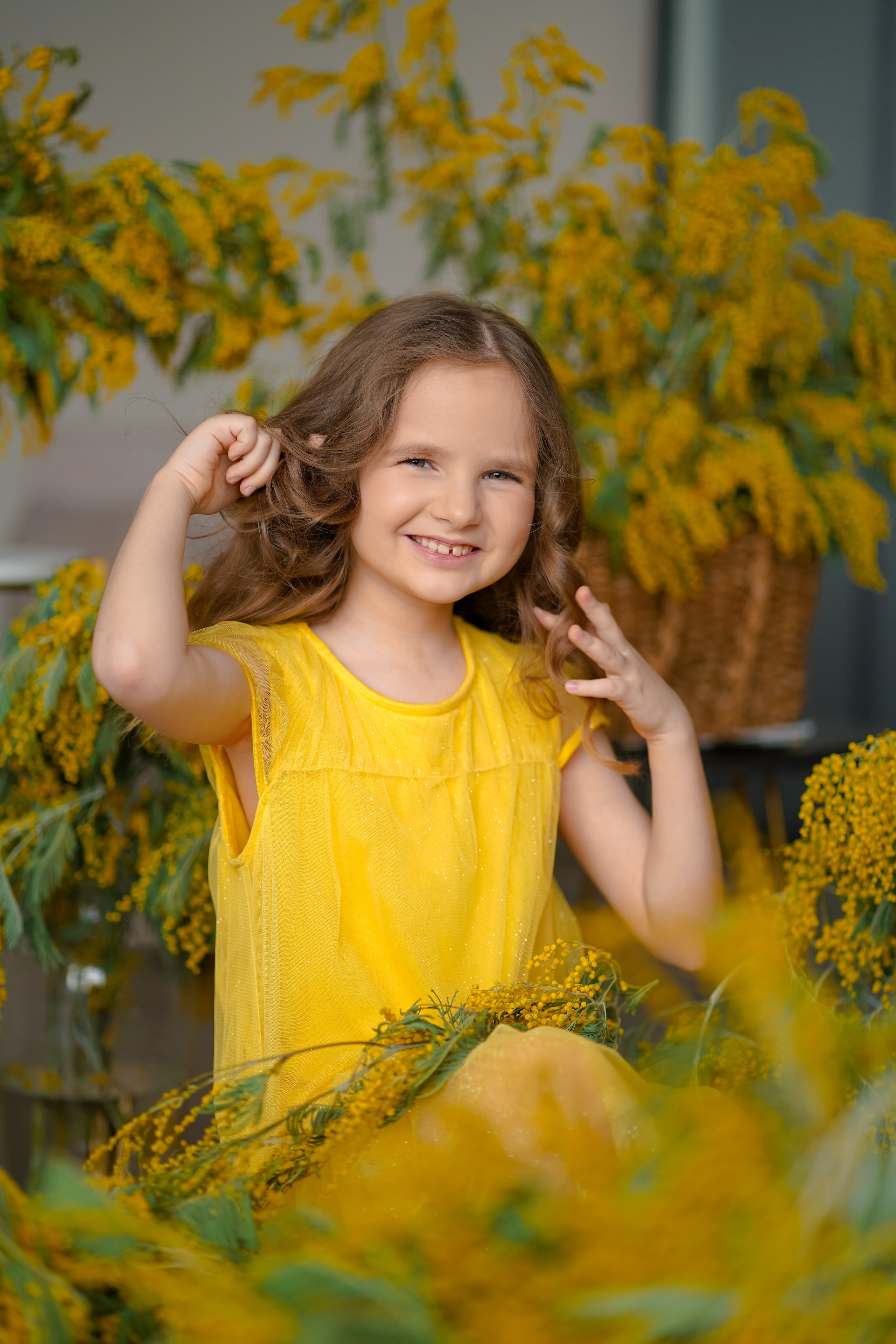 Мимоза. Фотограф Татьяна Митрофанова