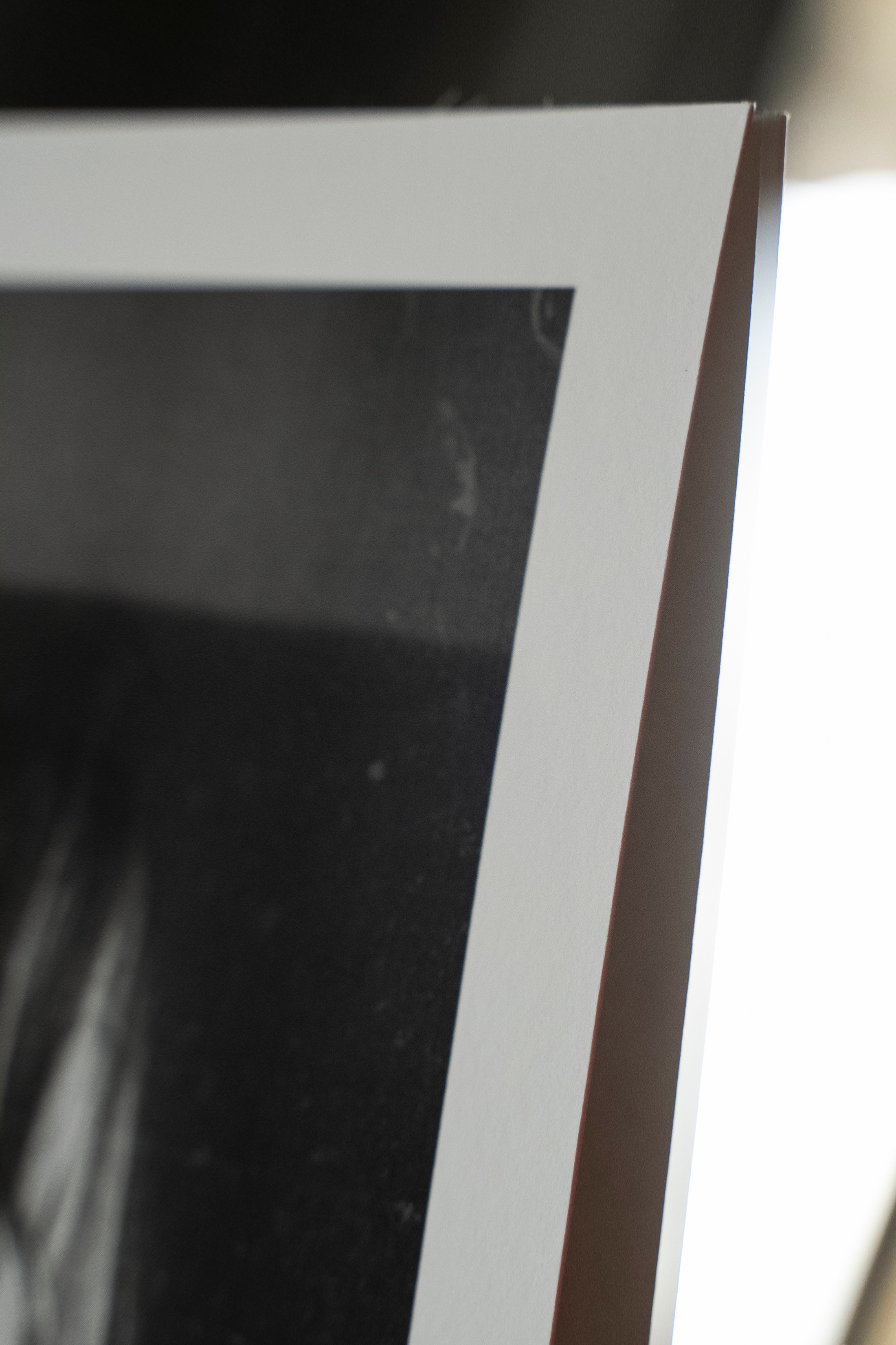 FRAGILE. Family Lifestyle Photographer in Lucca, Italia