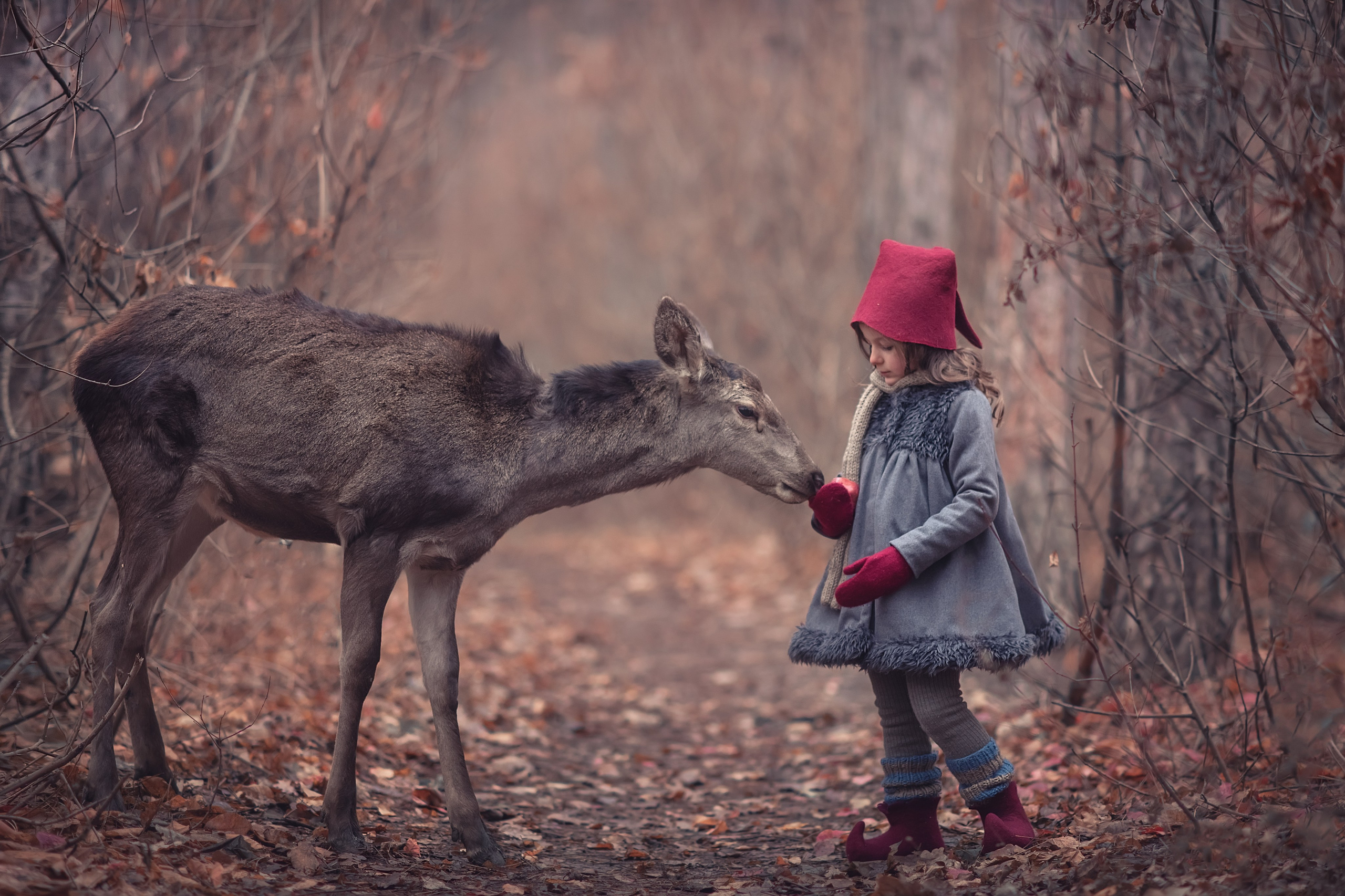 Зимние гномики. Семейный, детский и женский фотограф в Ростове-на-Дону Кирилина Екатерина