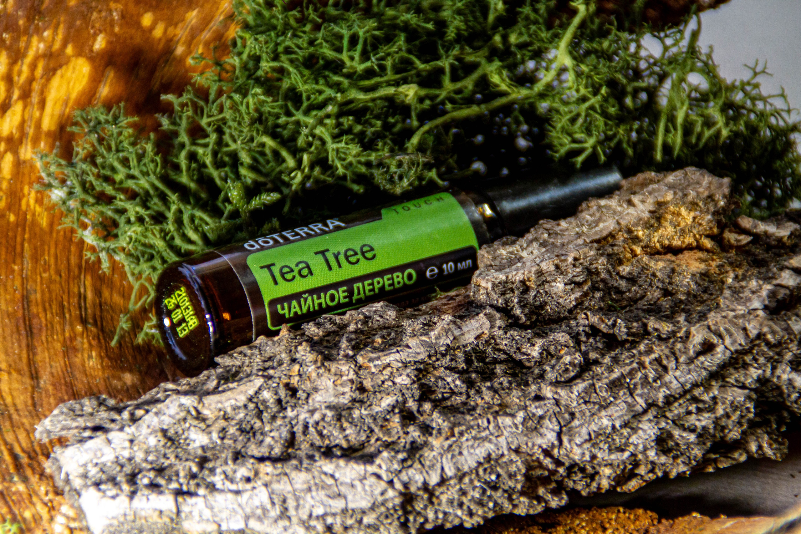 «Без названия»