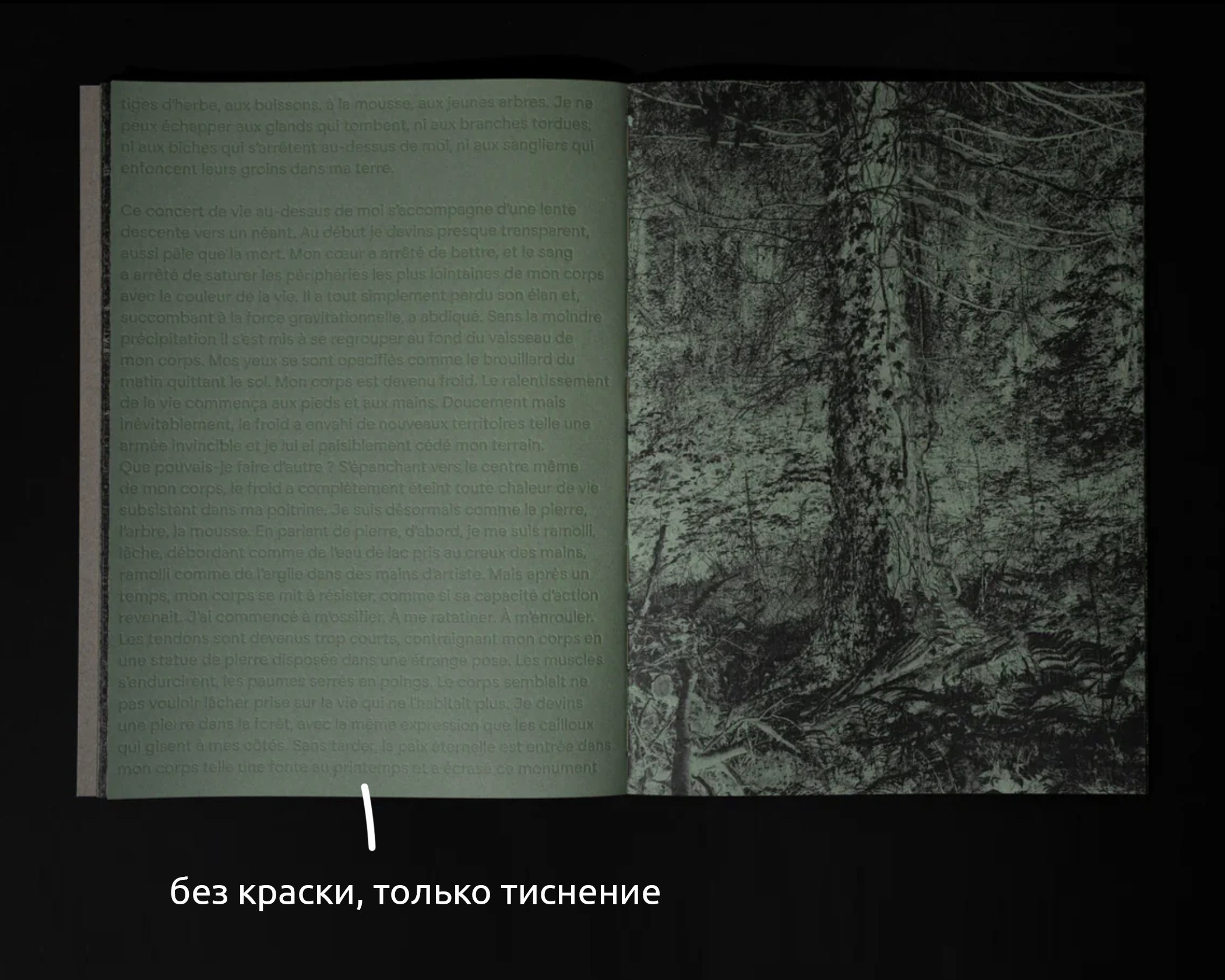 Понедельник 1. Вначале ничего не было…. …