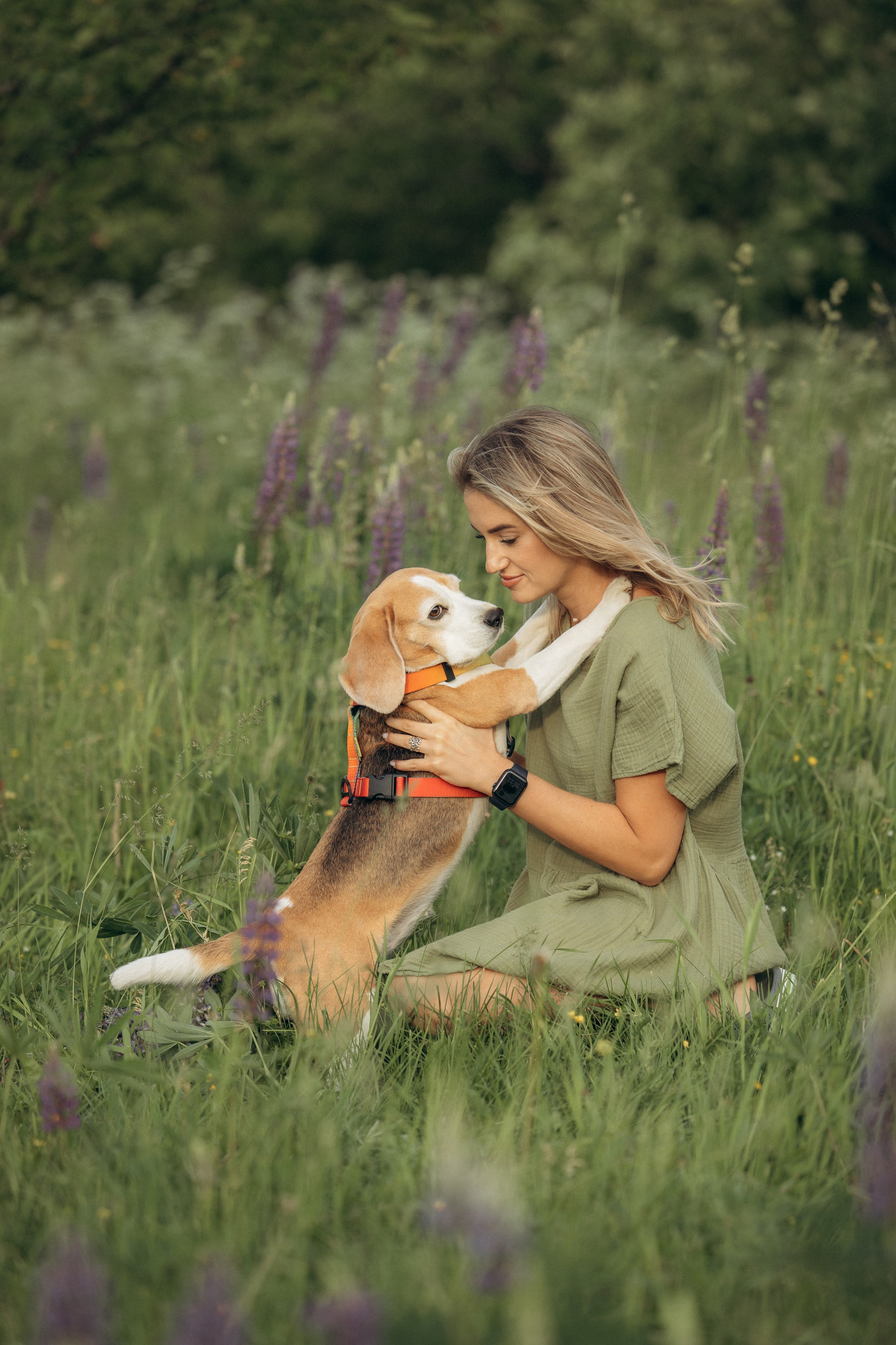 Кристина и Нора. На закате дня. Фотограф анималист в Казани Алина Сулейманова. Фотограф животных