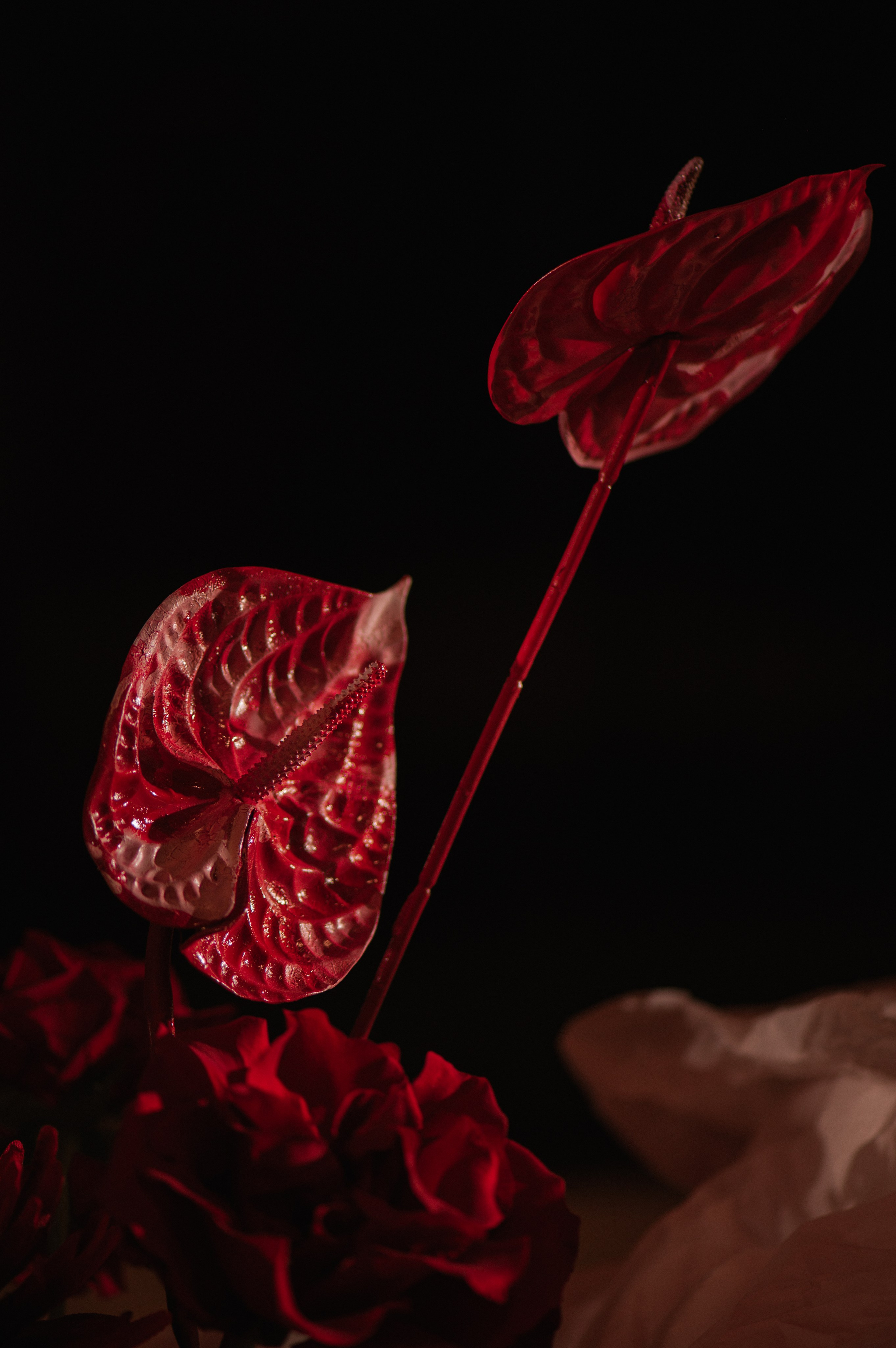 5 лет Марриот Воронеж. Свадебный фотограф в Санкт-Петербурге, Москве, СПб Сергей Поддубный