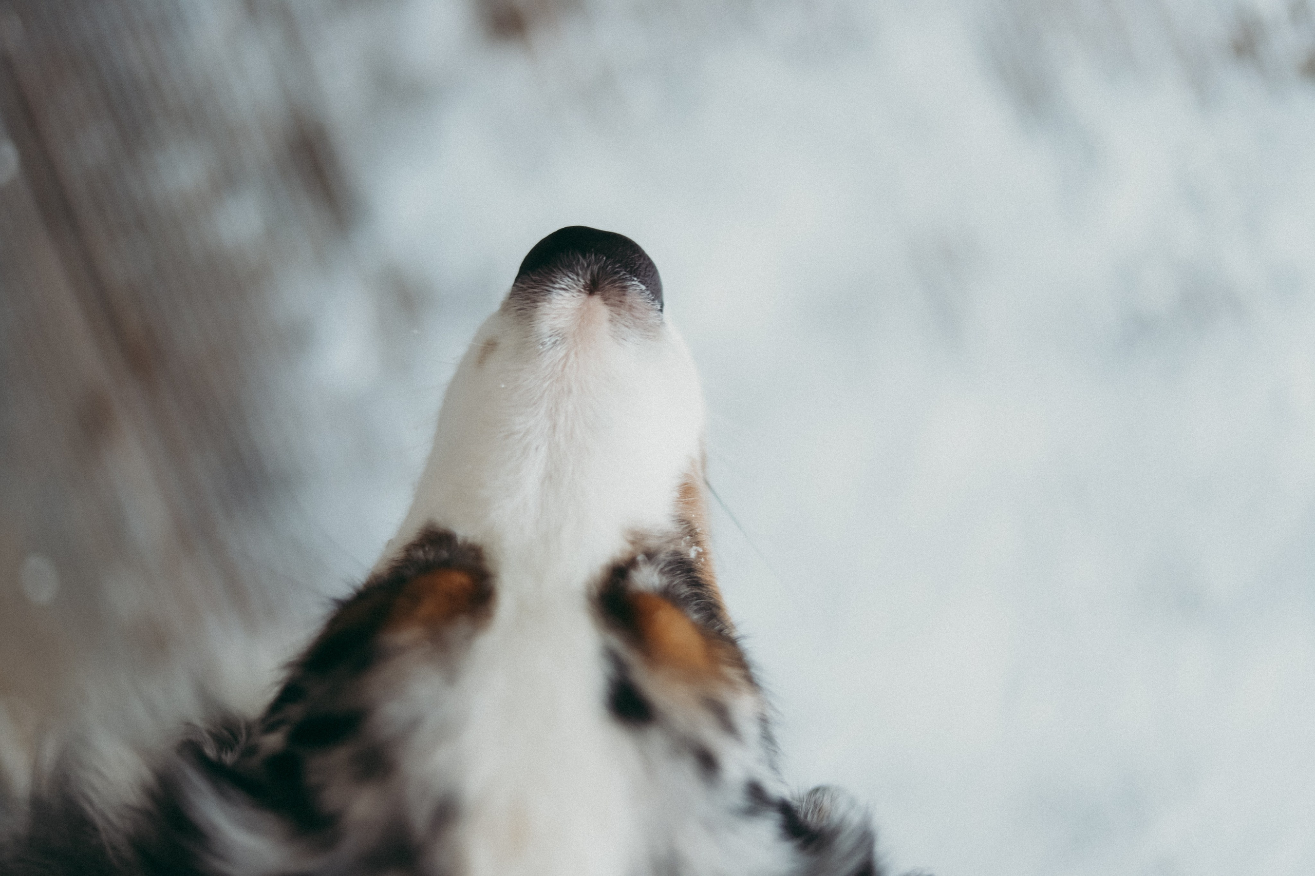 Инна и Вера. Фотограф Москва и Санкт-Петербург