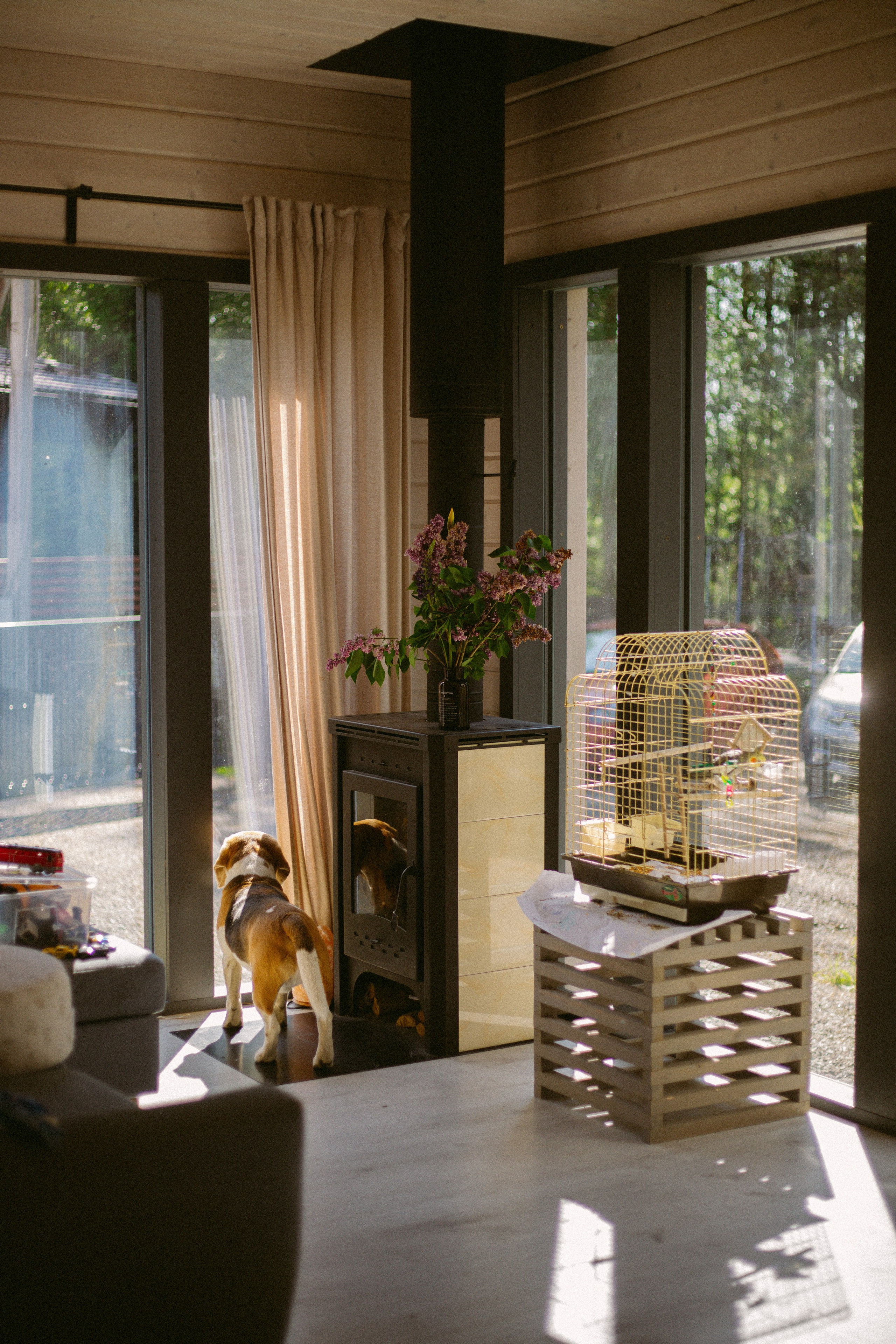 Семейное. Фотограф Москва и Санкт-Петербург