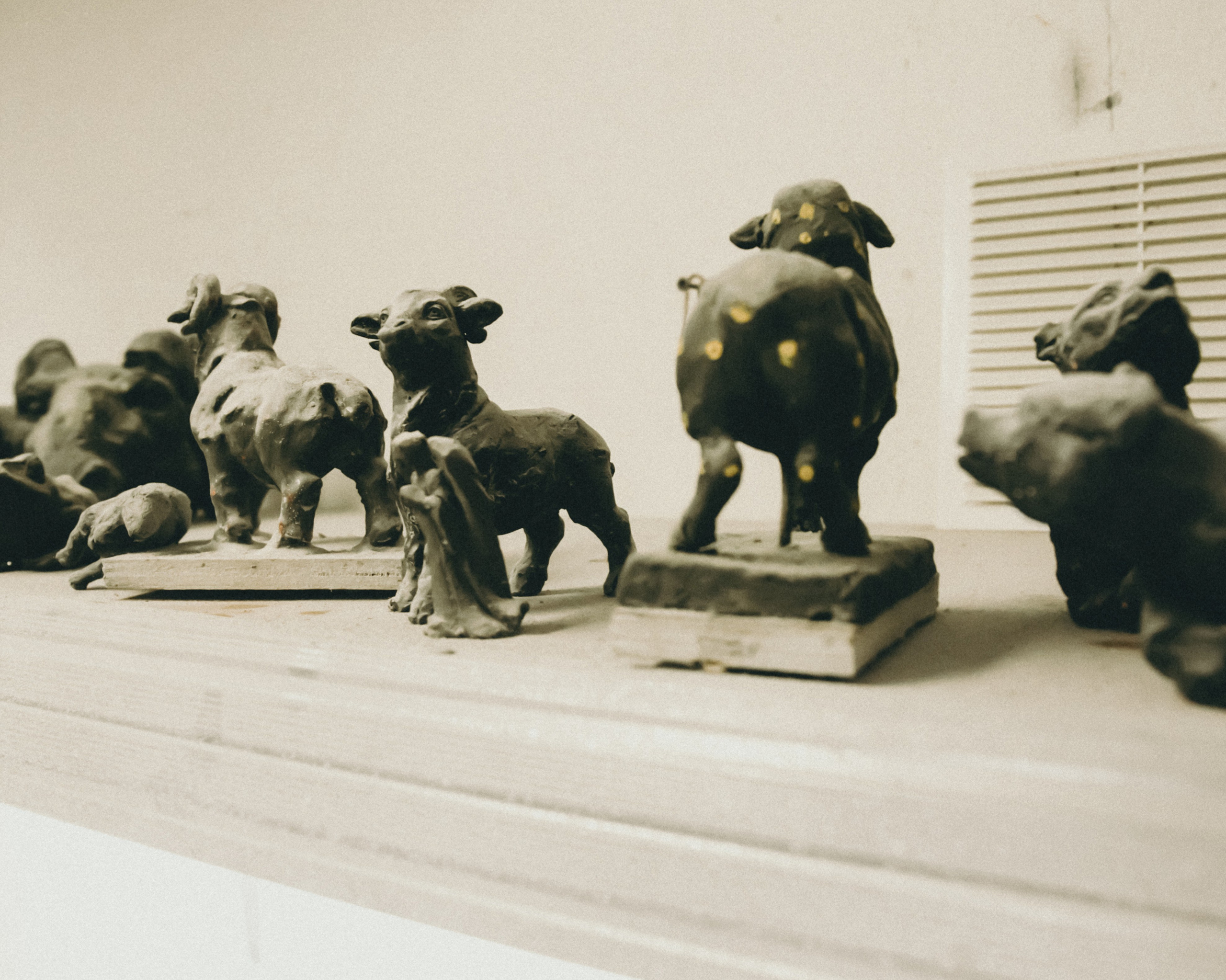 Юля. Портретный фотограф Ванинен Анастасия. Санкт-Петербург