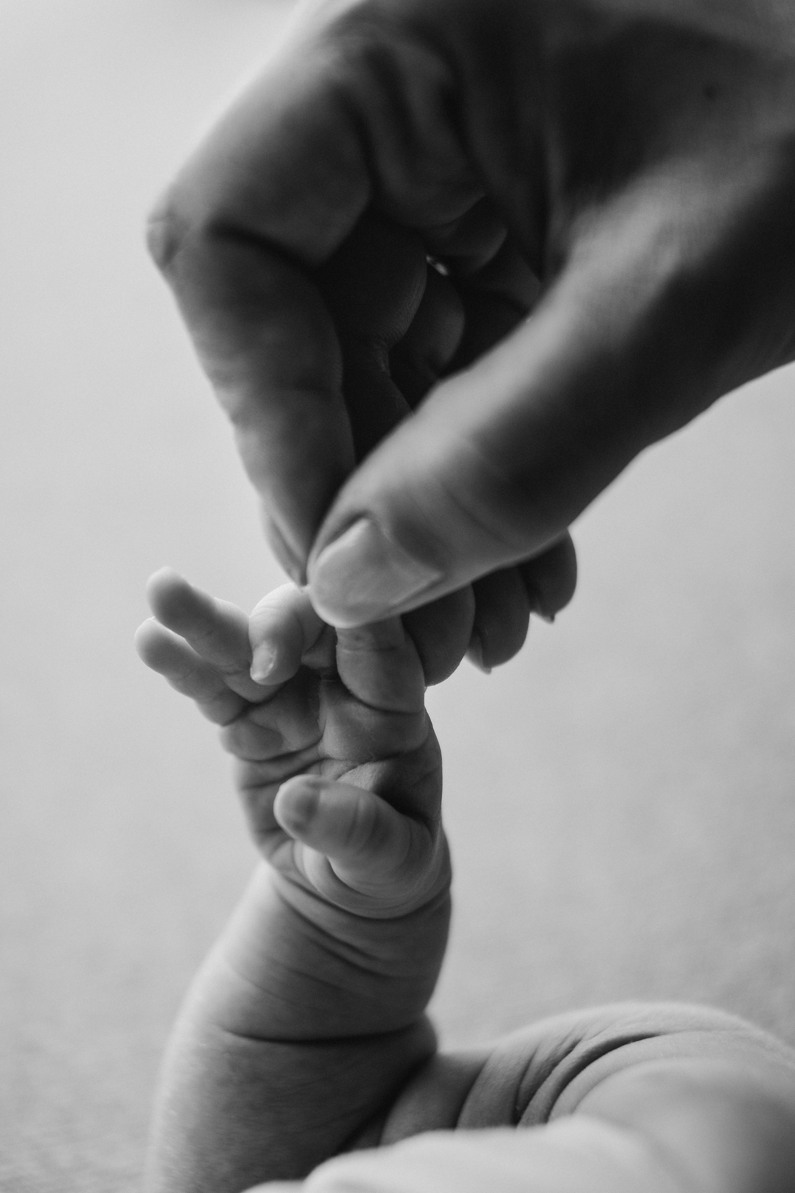 Новорожденные. Семейный фотограф и фотограф новорожденных в Санкт-Петербурге Алевтина