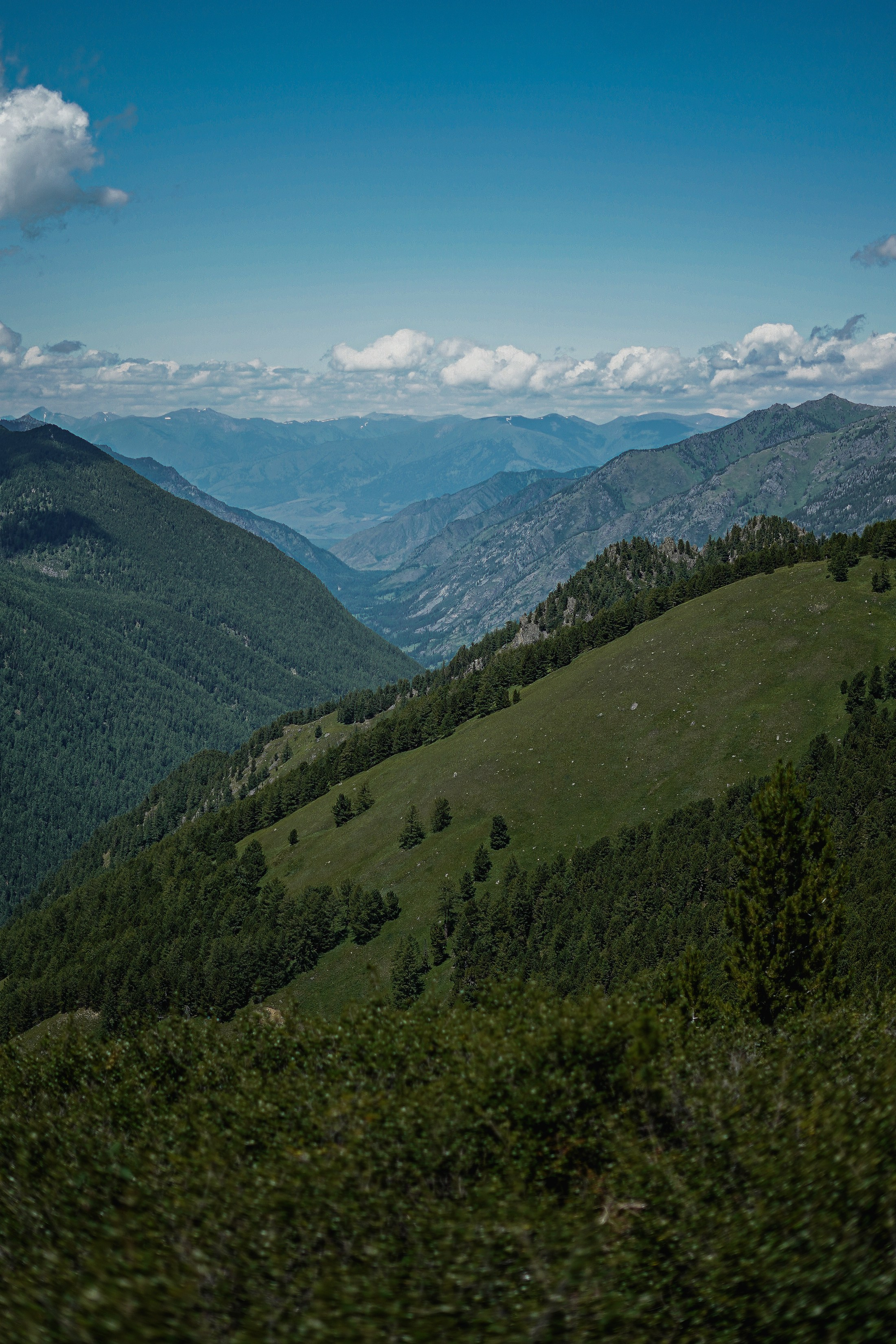Алтай, поход к Белухе 2023. Фотограф Ольга Пучкова