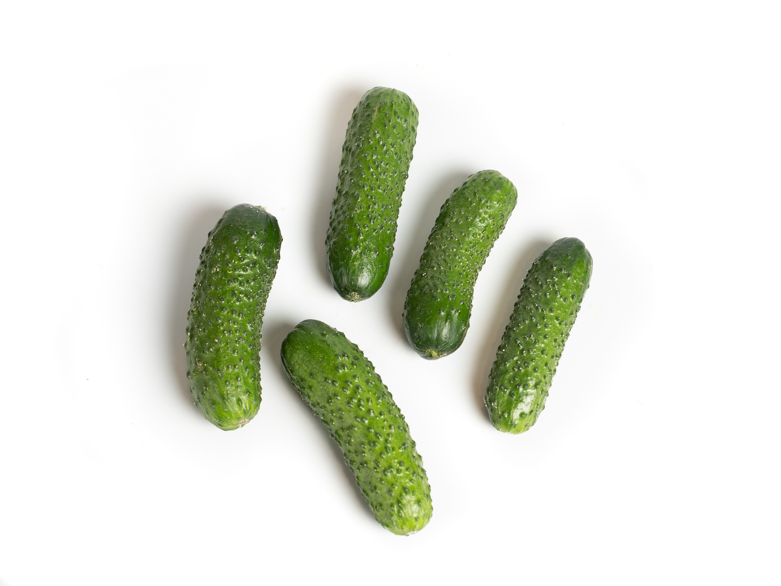 Яндекс Маркет. Предметный и фуд-фотограф в Москве Анна Царенко