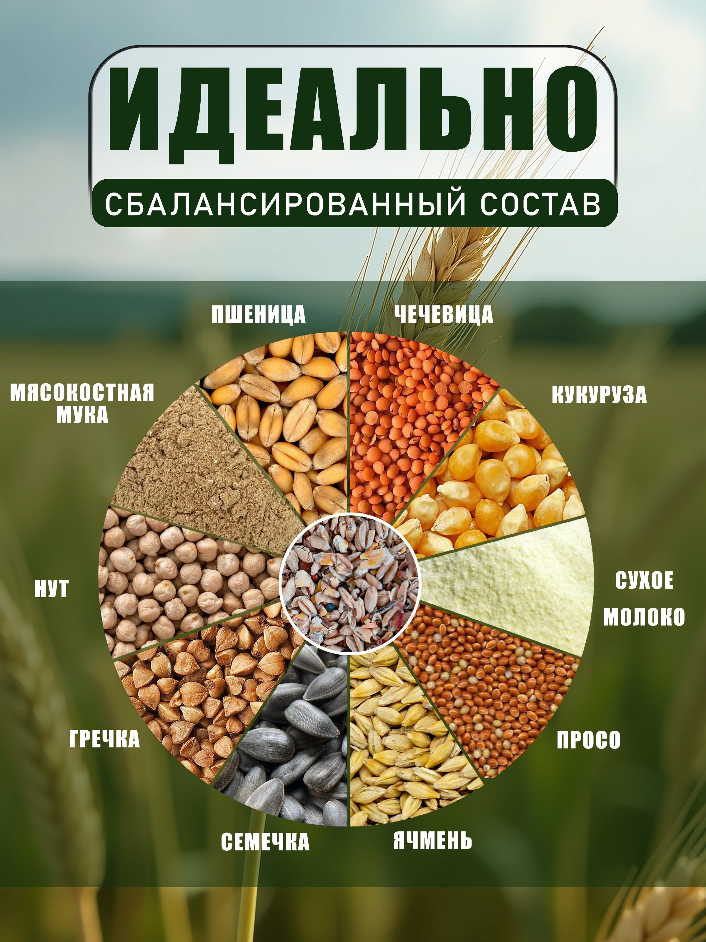 Инфографика. Предметный фотограф, маркетплейсы г. Оренбург Станкевич Тамара