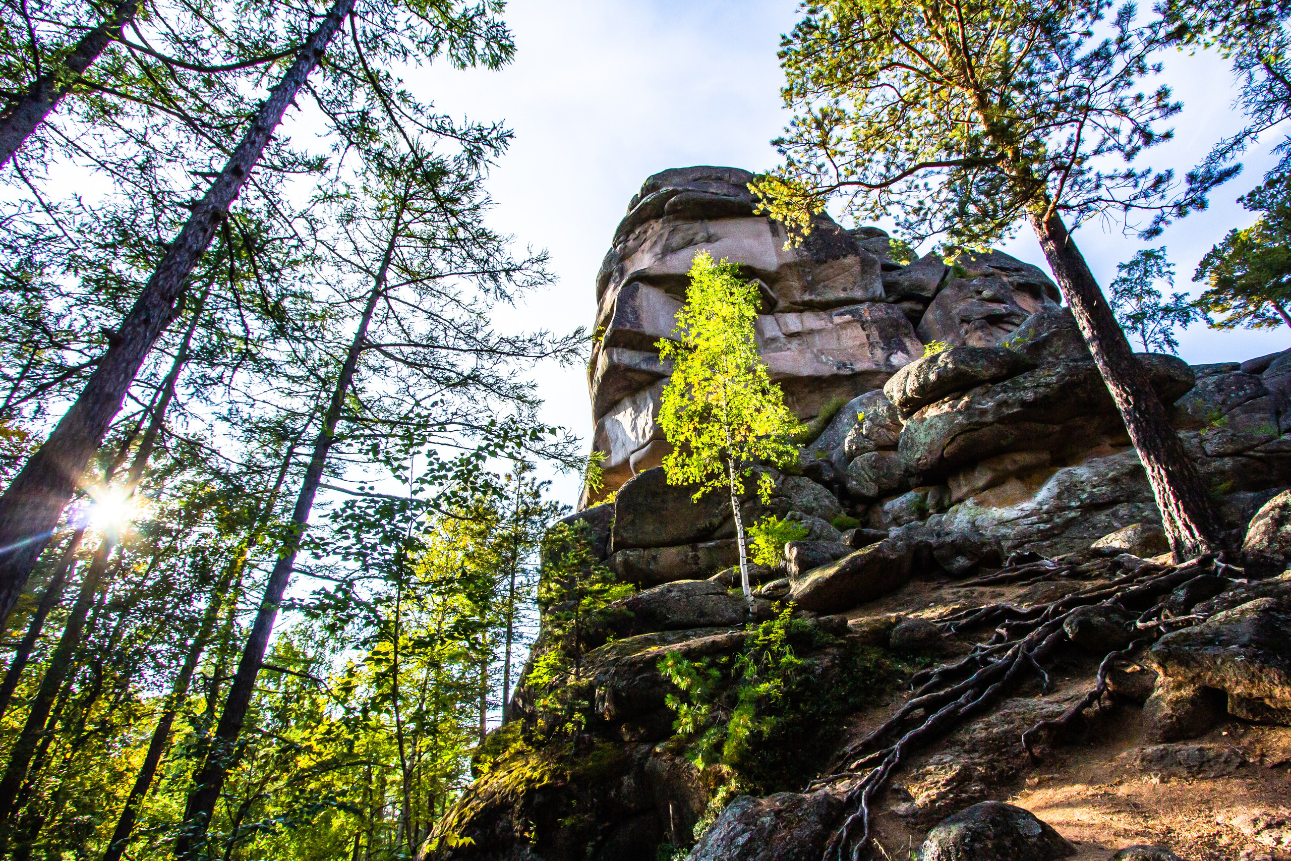 Красноярские столбы. Travel-фотограф Ирина Милинцова