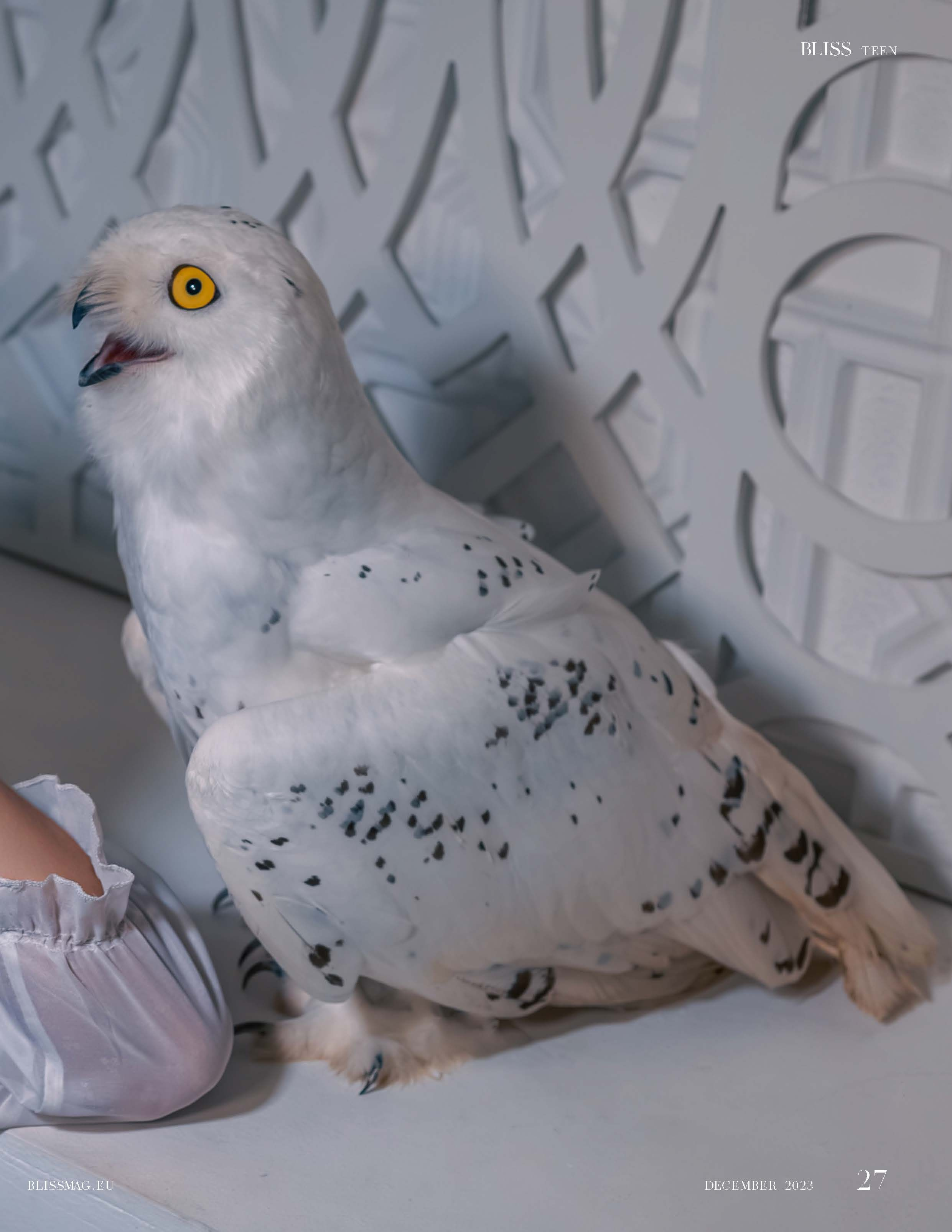 Журнал BLISS (Рим, Италия). Семейный и свадебный фотограф в Москве и Домодедово Анна Авилочкина