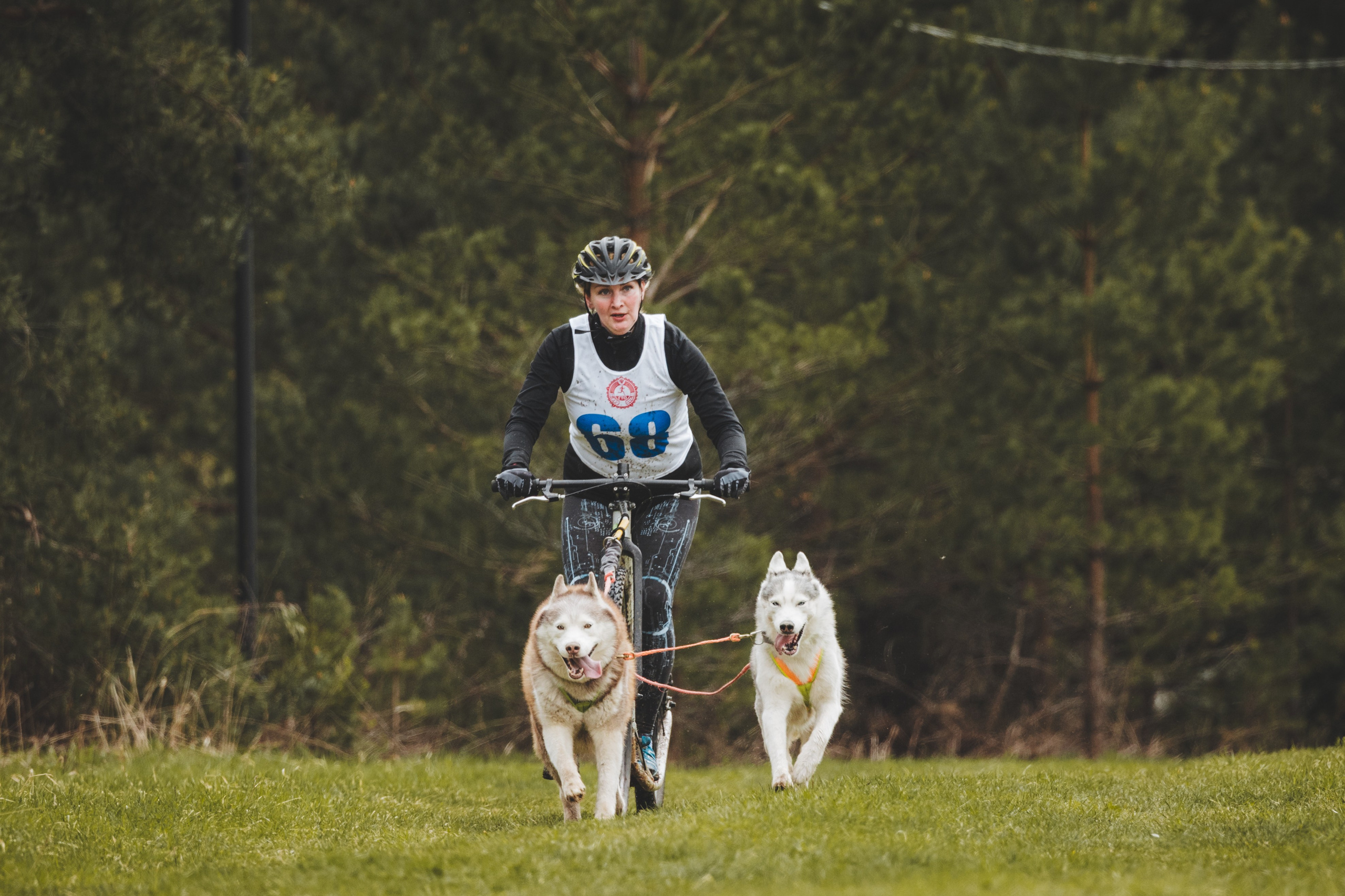 Почёвинский драйдленд. Фотограф Ирина Астор