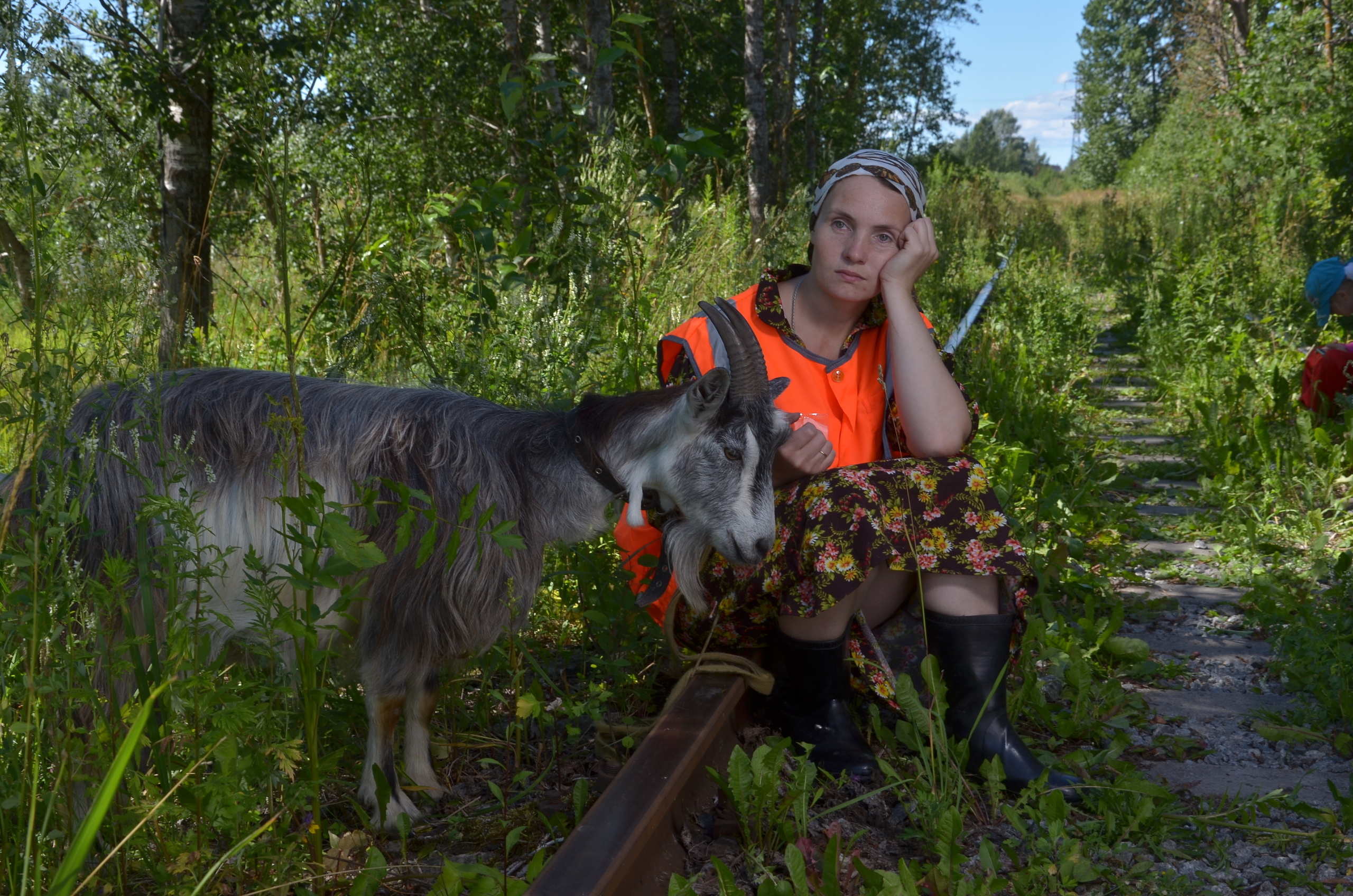 Там где раньше ходил паровоз, теперь выгуливают коз. Портретная, сюжетная фотография
