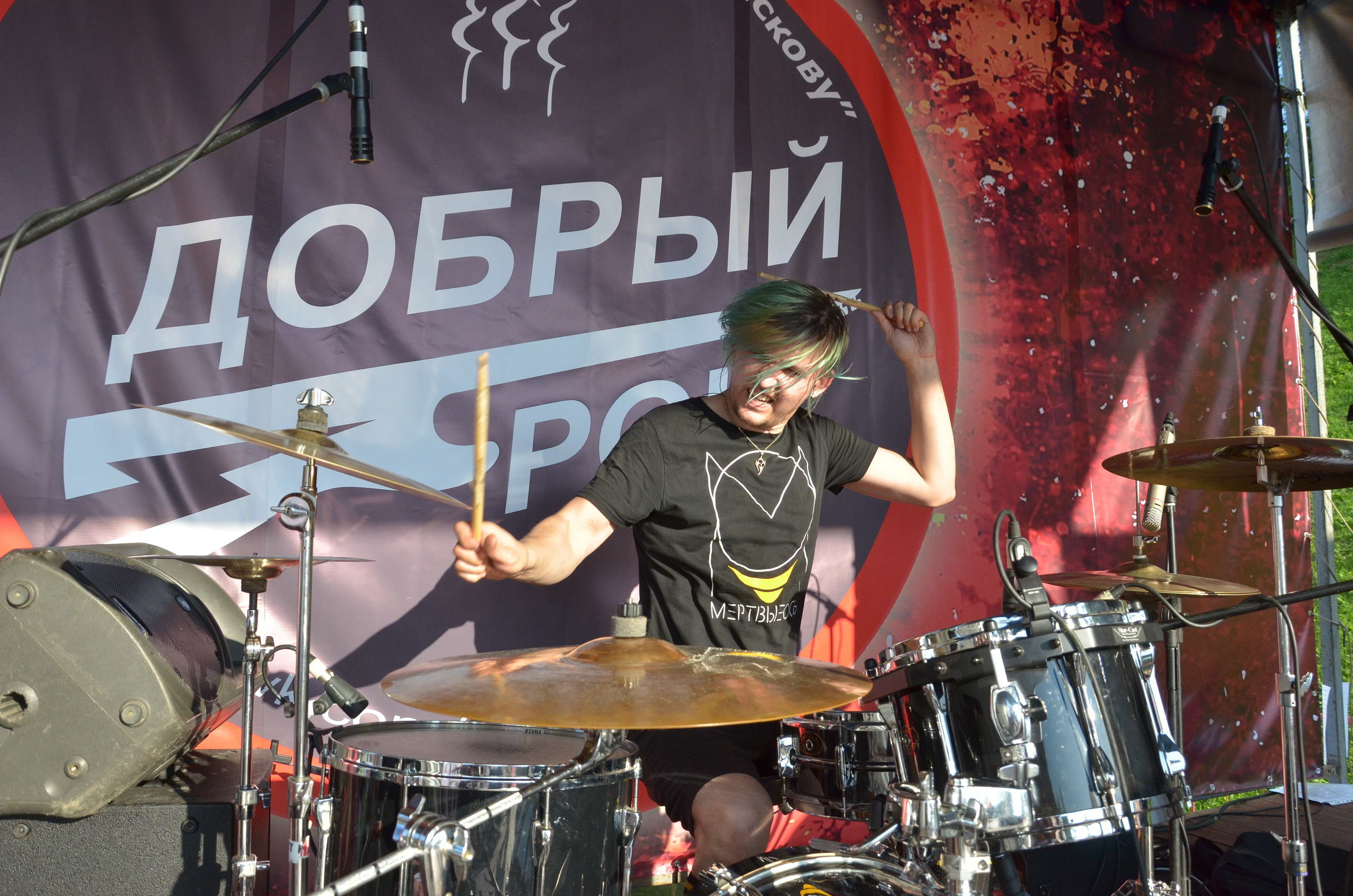 Мёртвые осы. Портретная, сюжетная фотография