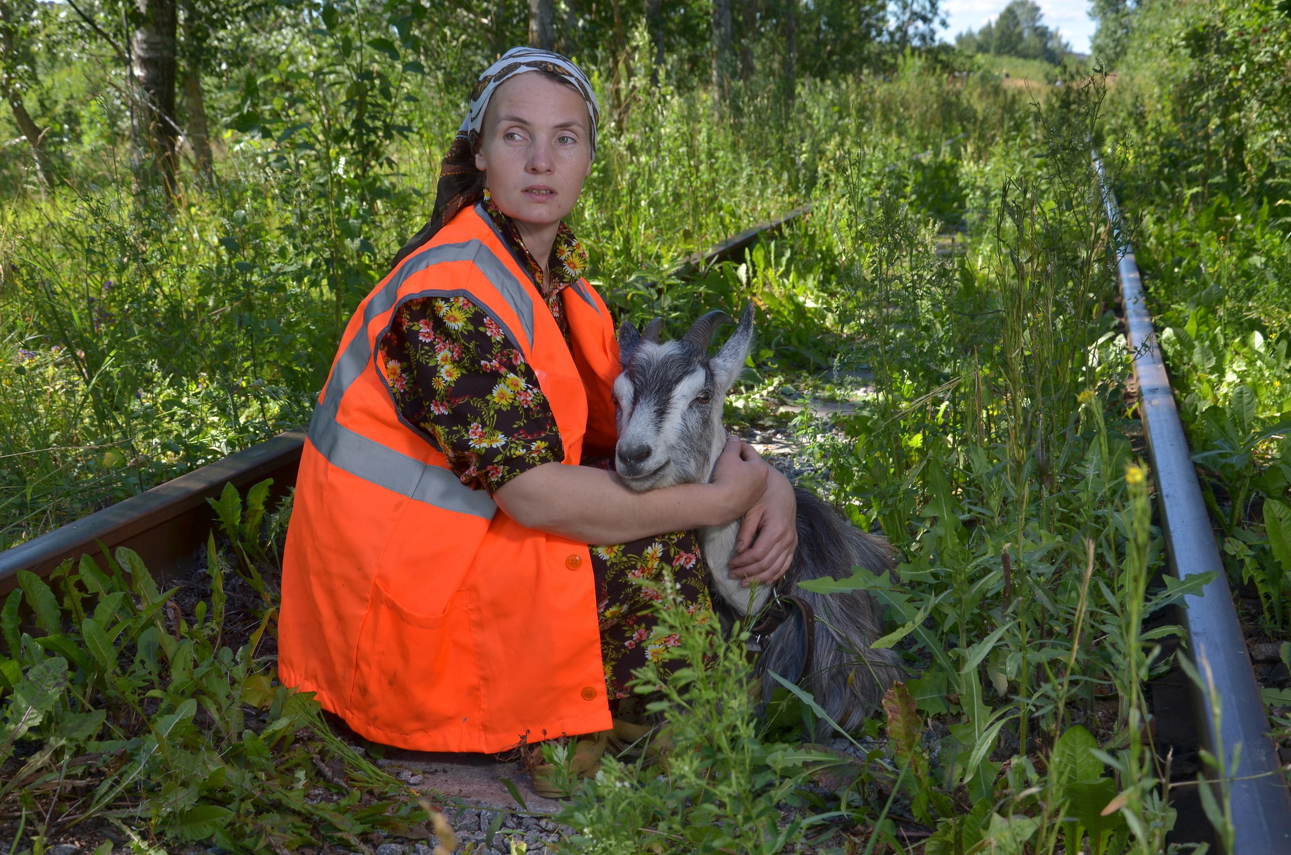 Там где раньше ходил паровоз, теперь выгуливают коз. Портретная, сюжетная фотография