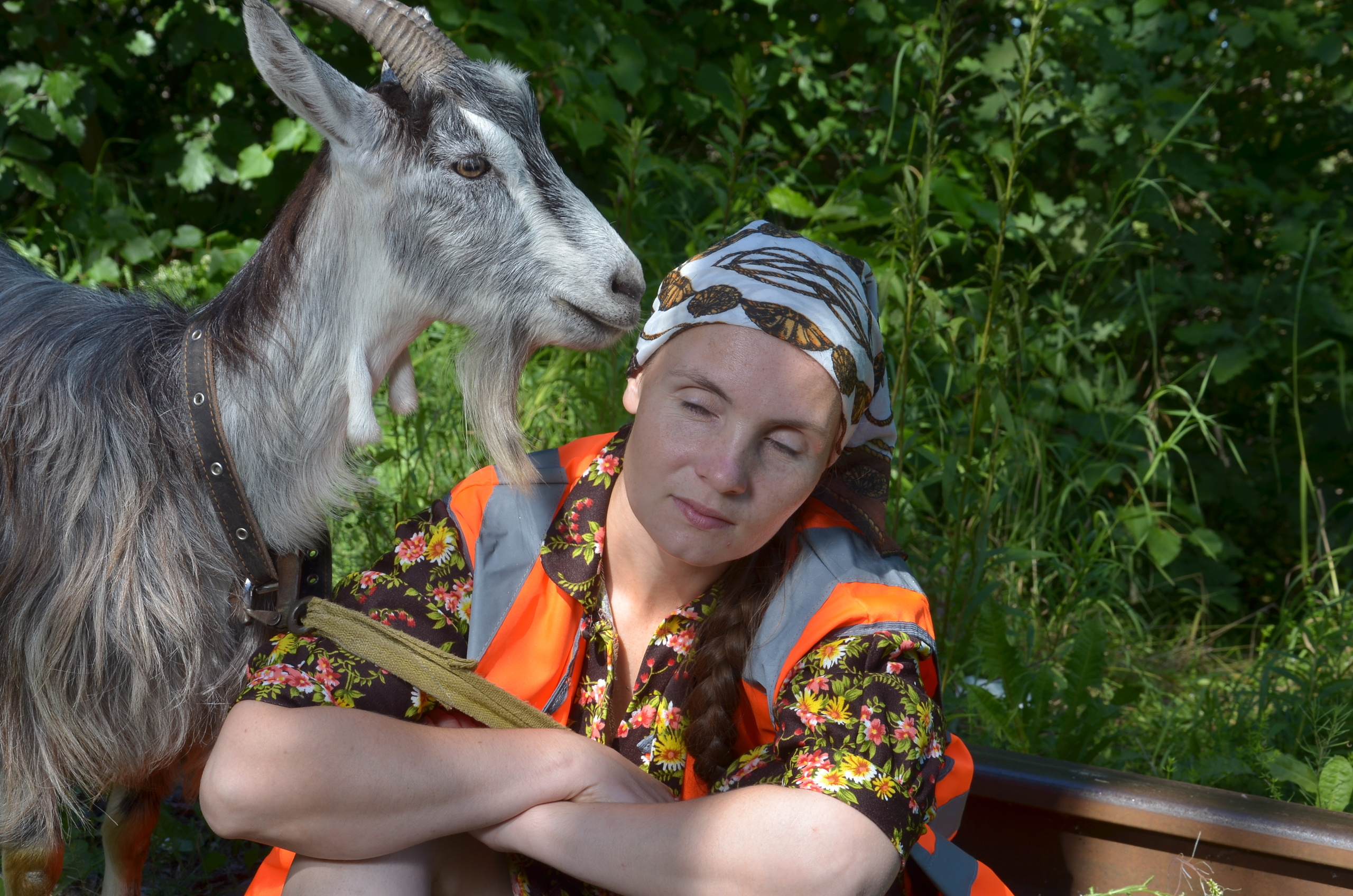Там где раньше ходил паровоз, теперь выгуливают коз. Портретная, сюжетная фотография
