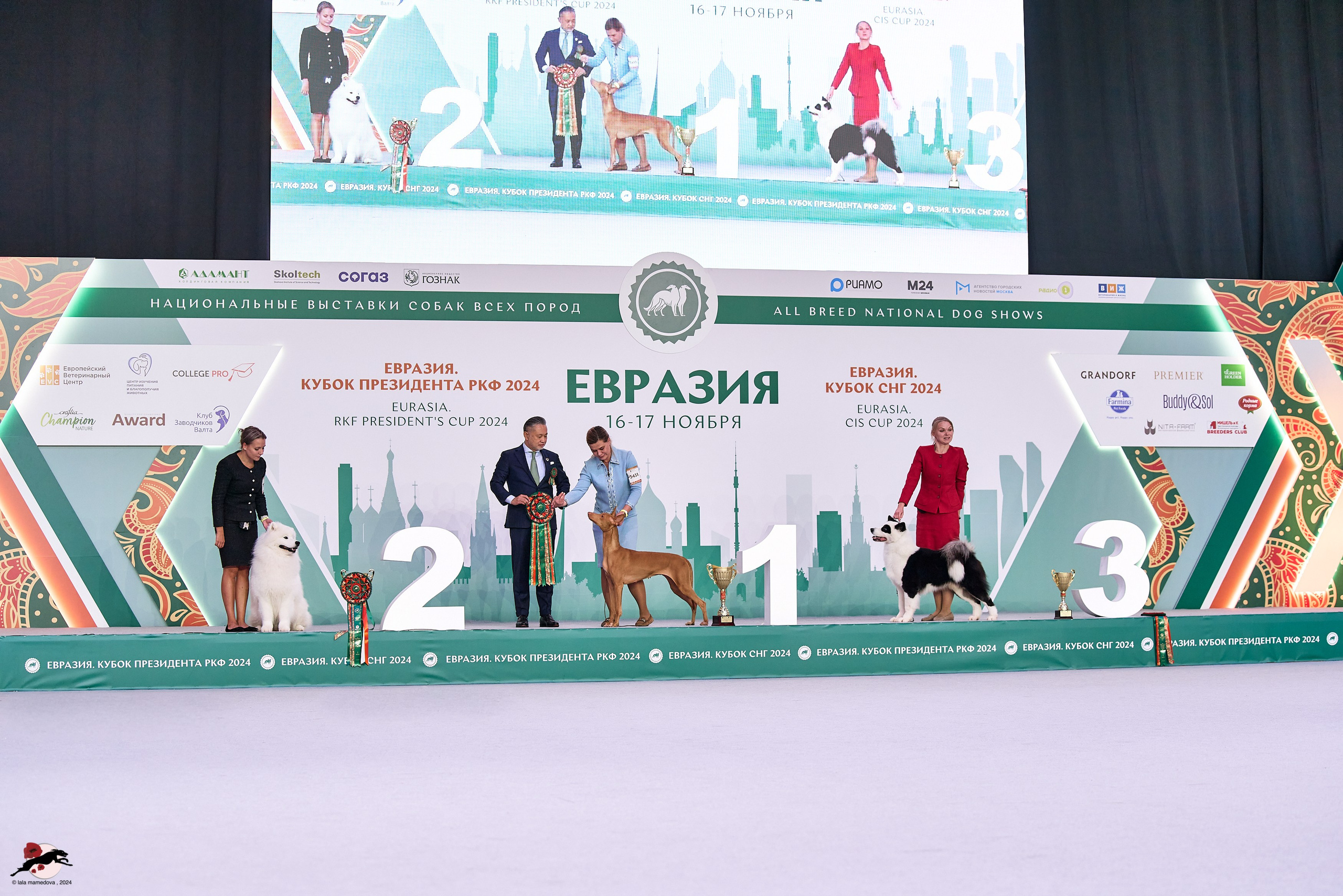 17.11.2024 «ЕВРАЗИЯ. КУБОК СНГ 2024»