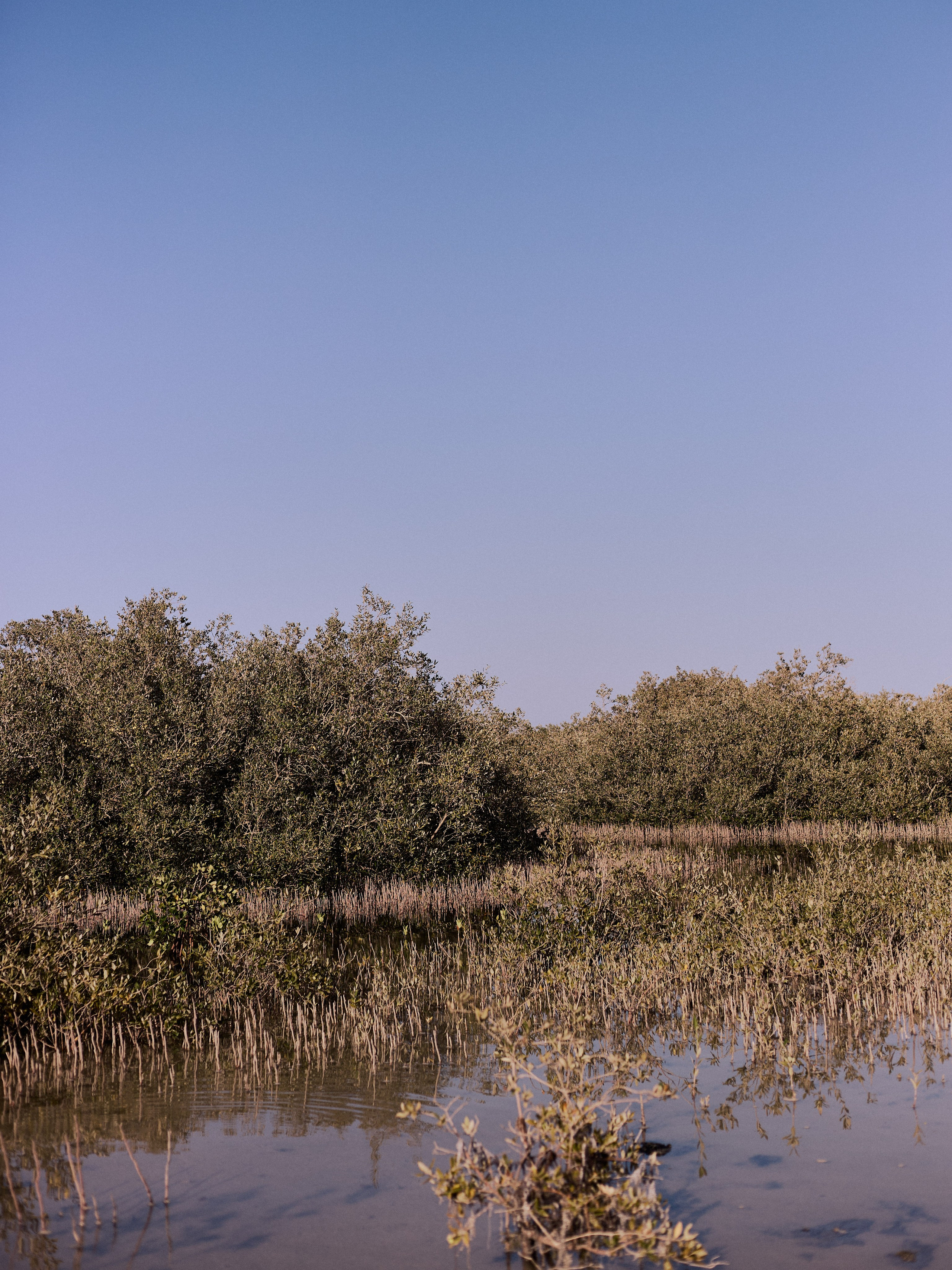 Другое 2. Jorgis Talè — photographer, kind person, teacher of arts and other mag