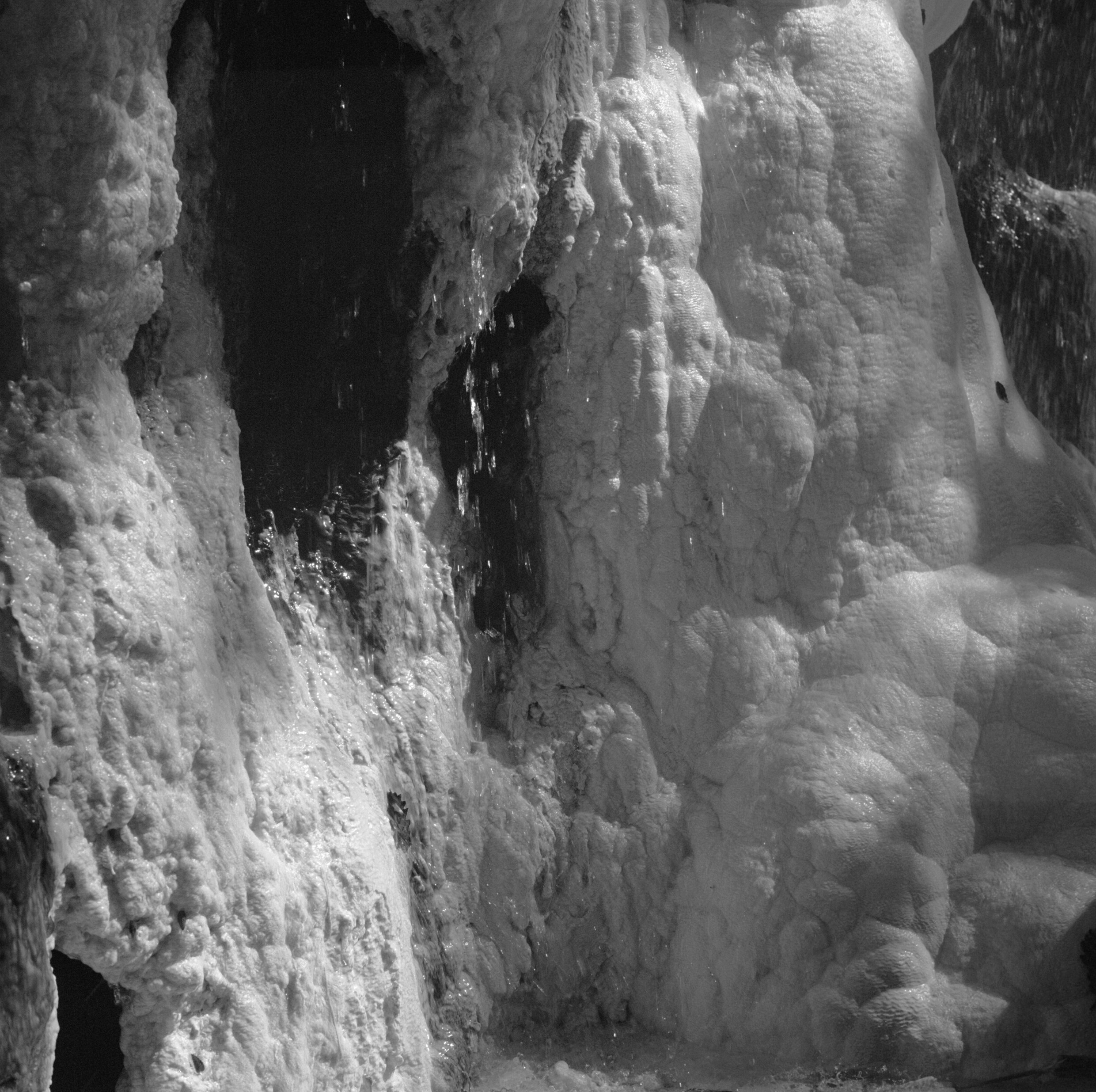 Юля Германович | Сад. Private image