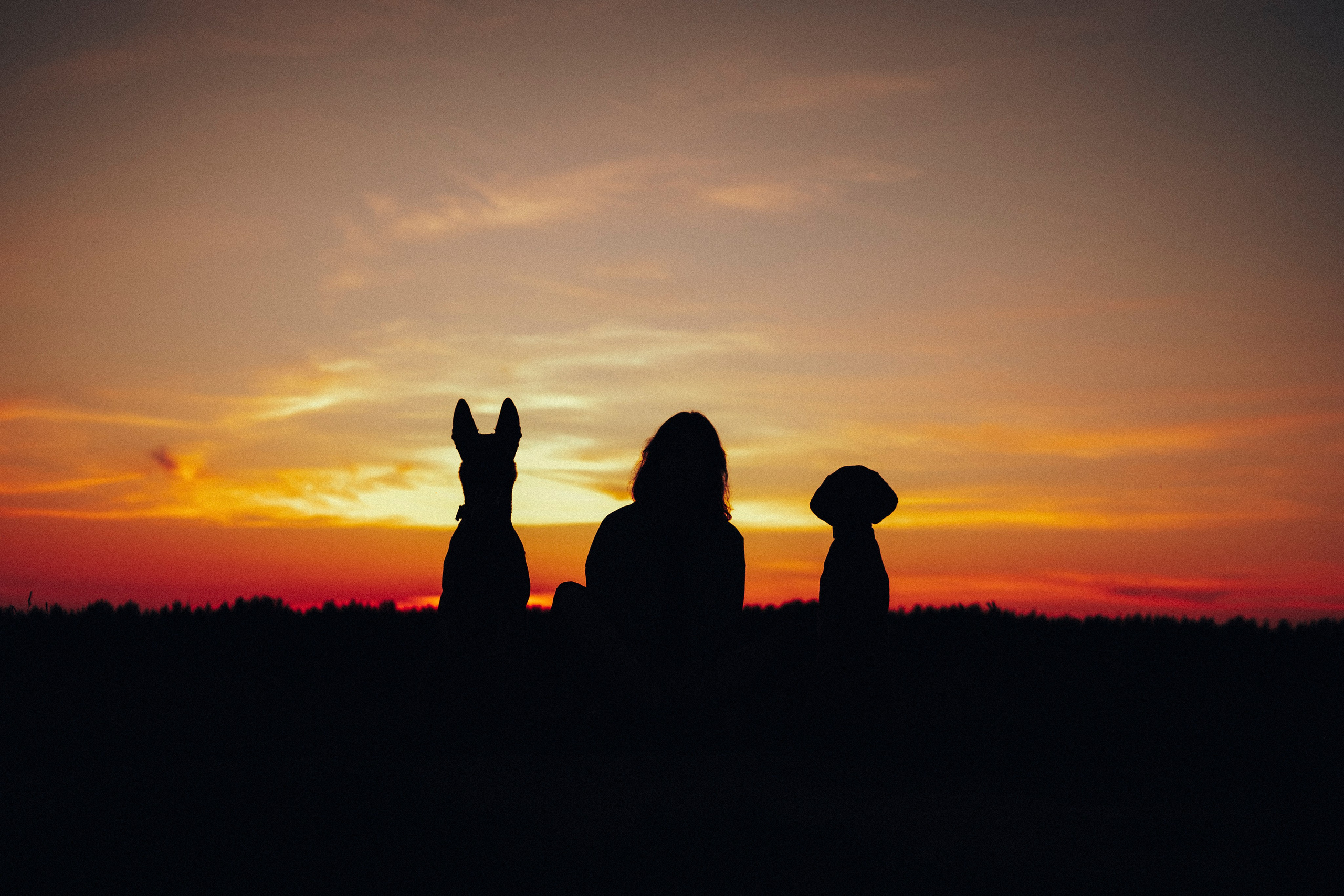 Маша, Трисс и Эста. Семейный фотограф анималист Ананьева Мария — Москва