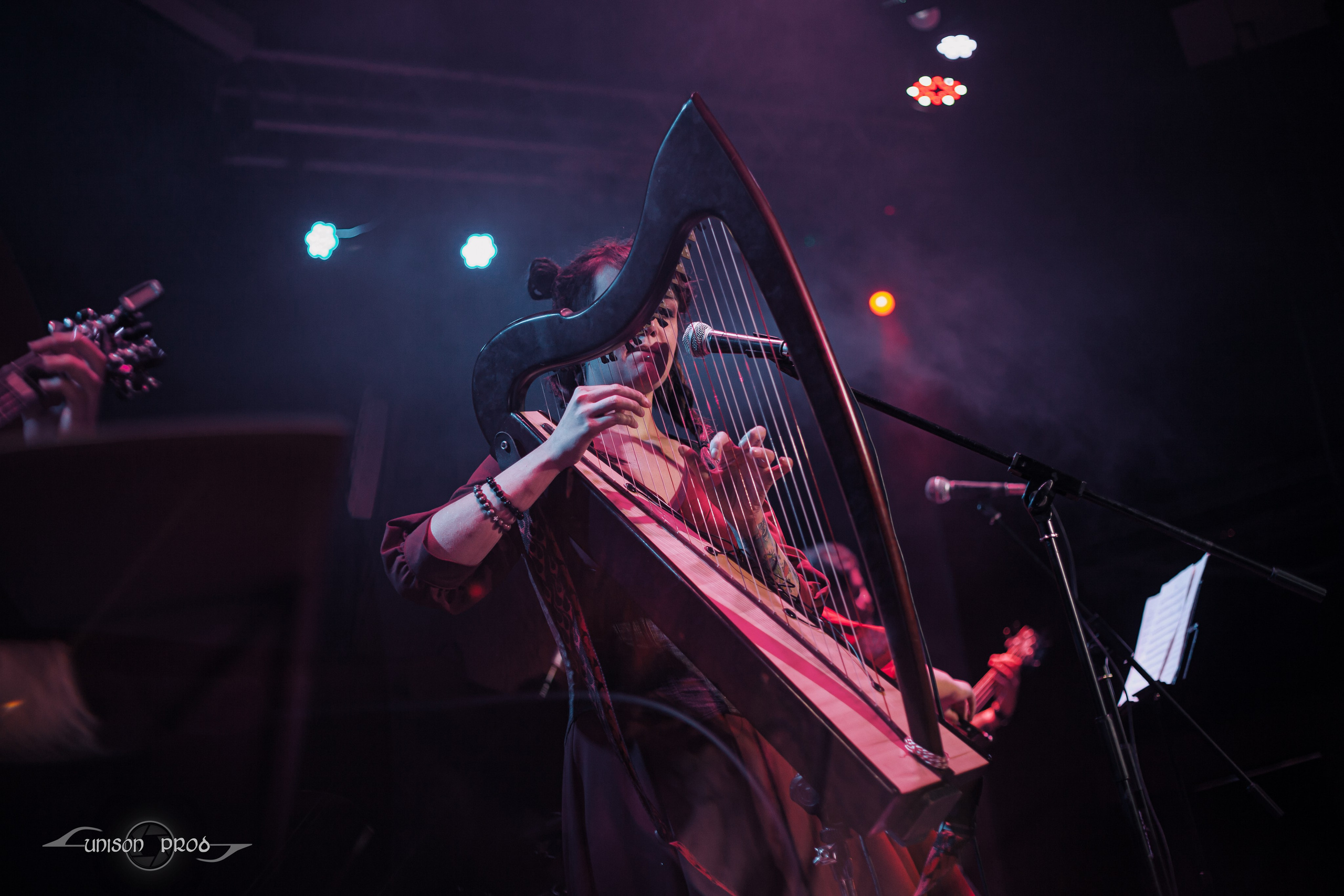 Фолк-вечер в «MEZZO FORTE». Фотограф Ellairen